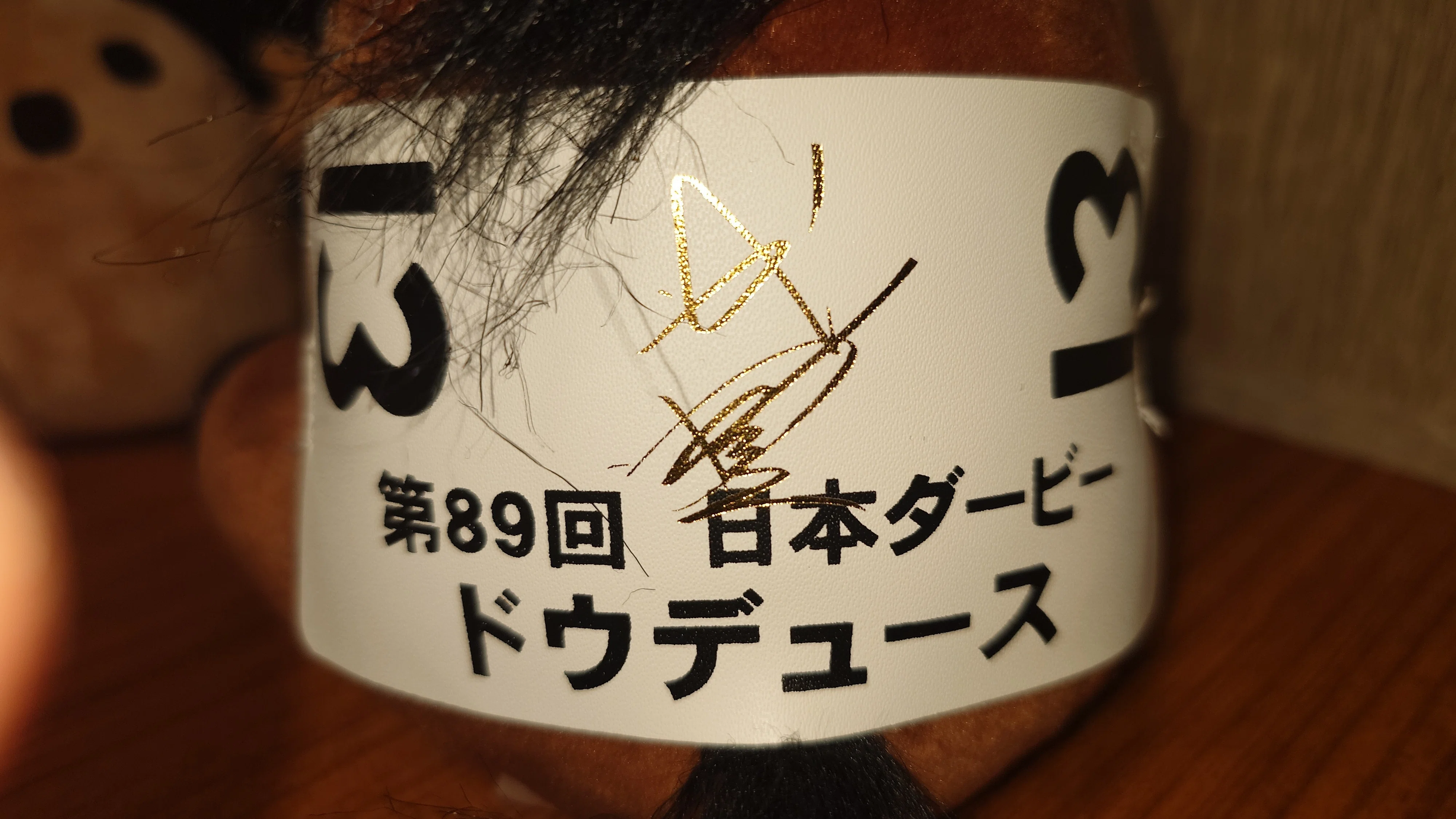 アイドルホースぬいぐるみ 22世代(執筆中)｜デカル(ΦωΦ＊)のアイドル