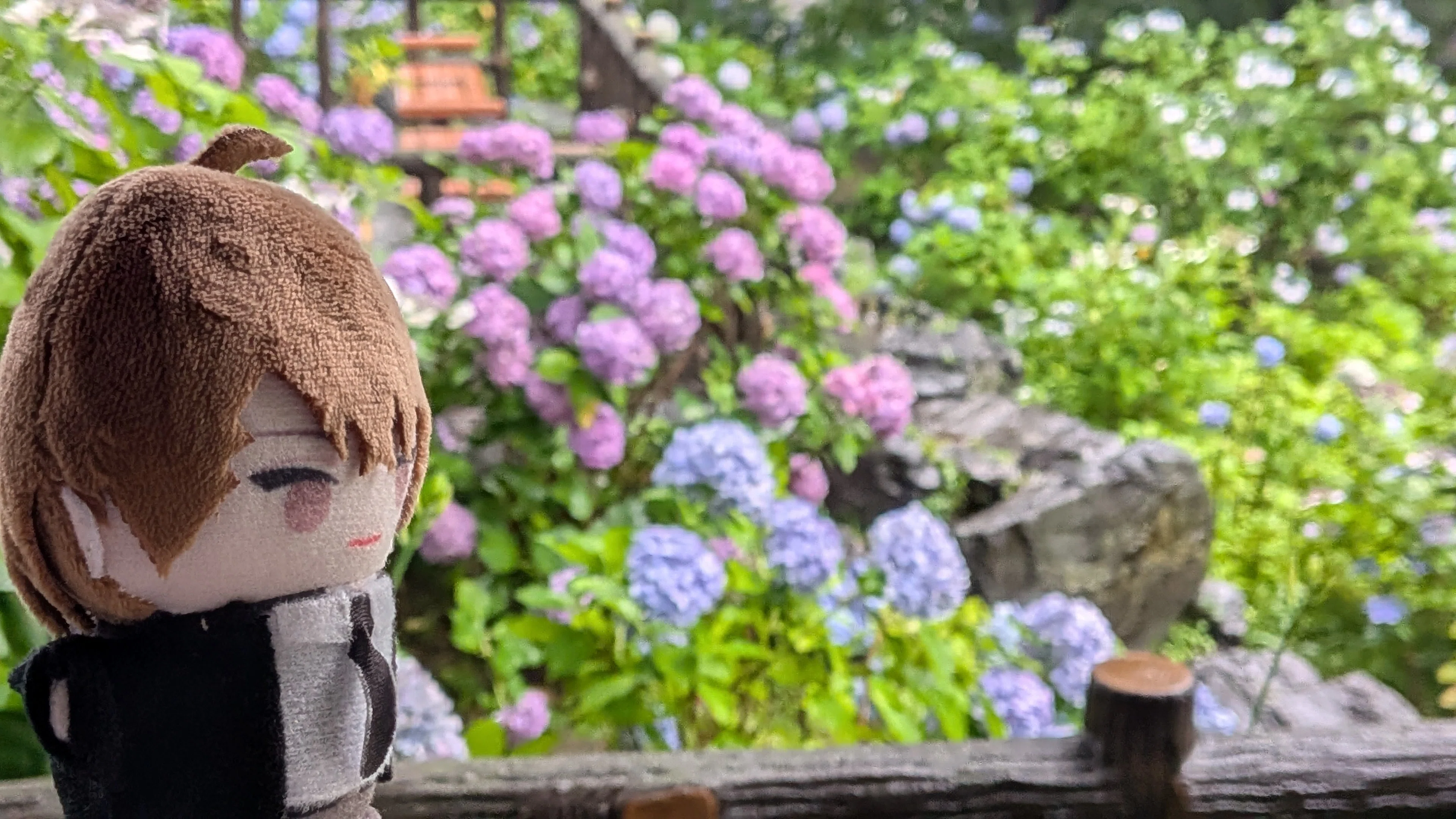 雨と紫陽花とぬい｜くろまる｜ぬい活と裁縫