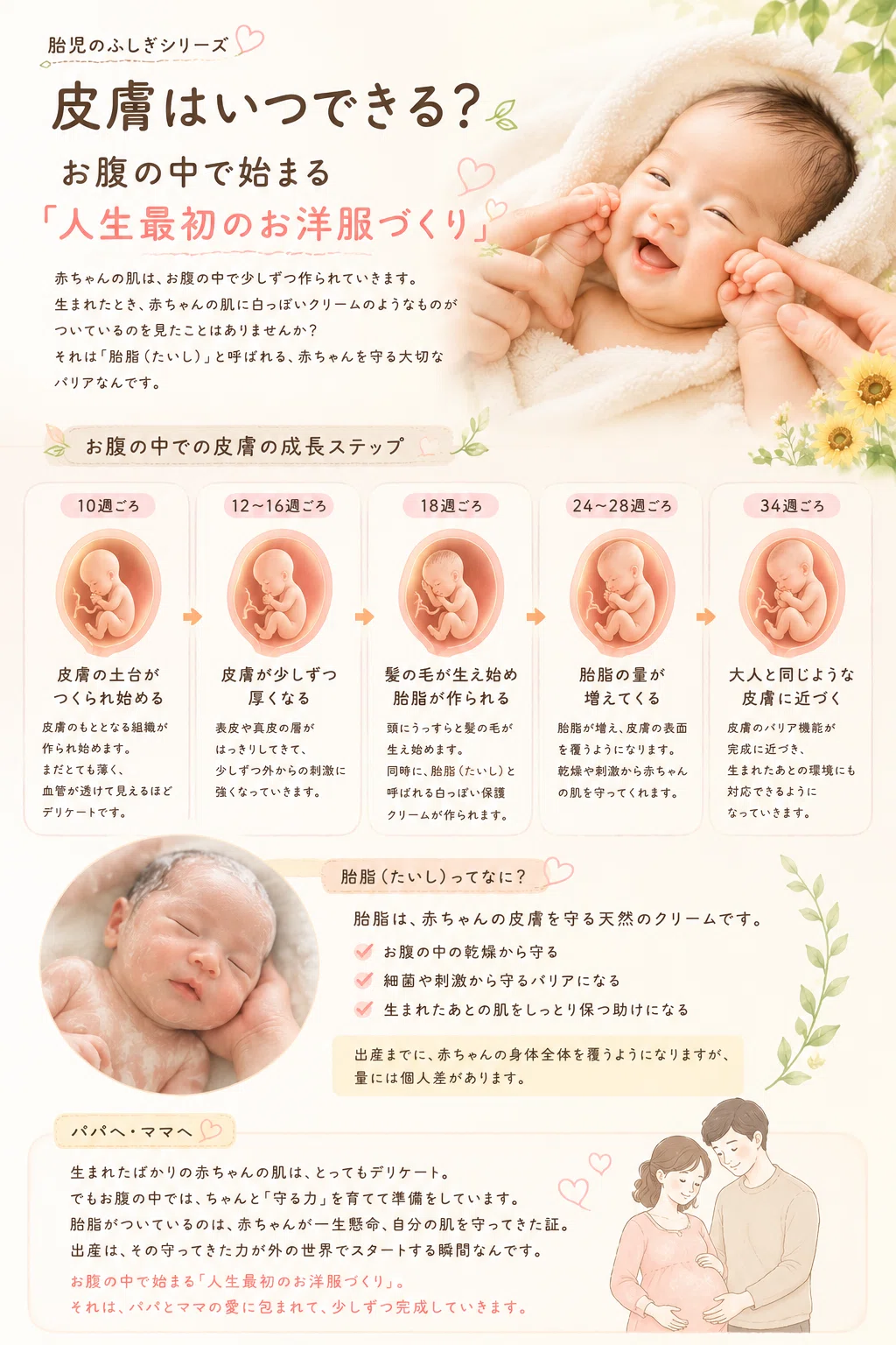 when-does-skin-form-the-first-outfit-created-in-the-womb