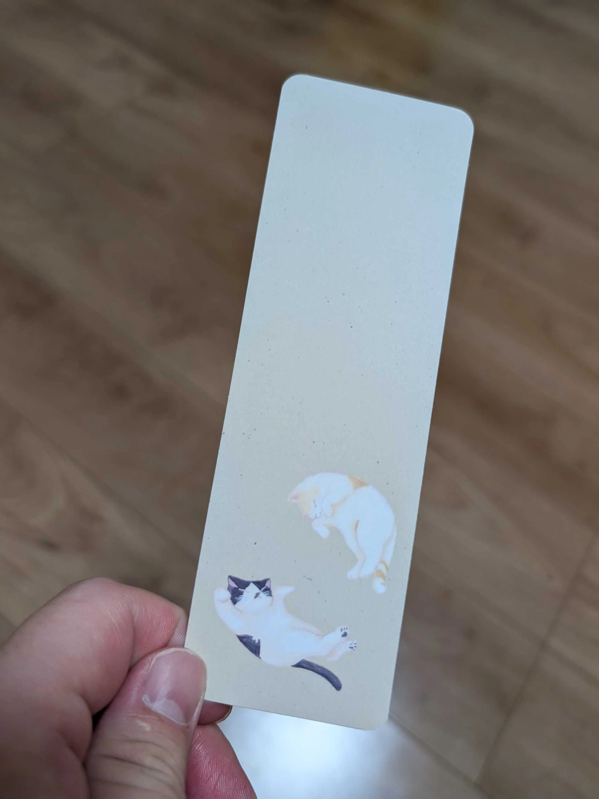 ZINEとセットでお渡しする、「しおり」が入荷！｜たかしお - Takashi Okubo