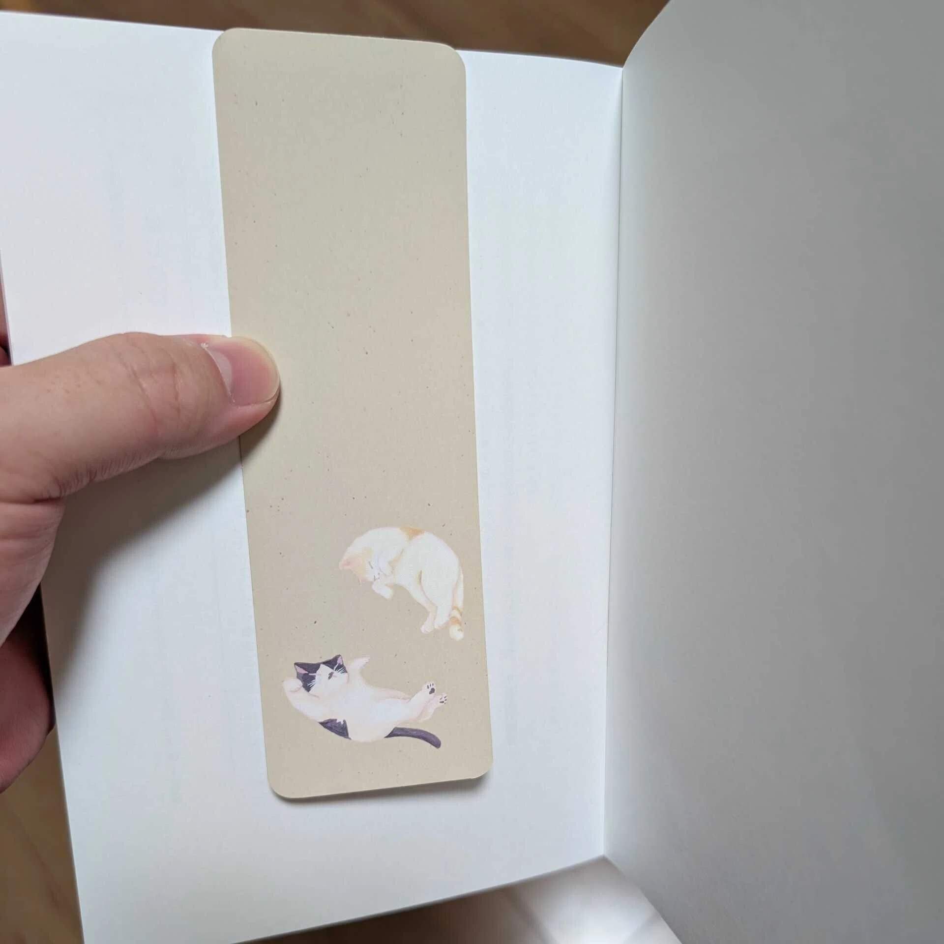 ZINEとセットでお渡しする、「しおり」が入荷！｜たかしお - Takashi Okubo