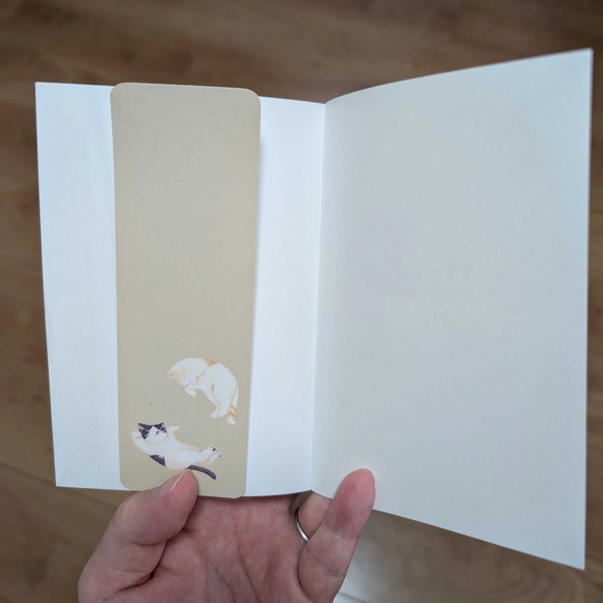 ZINEとセットでお渡しする、「しおり」が入荷！｜たかしお - Takashi Okubo