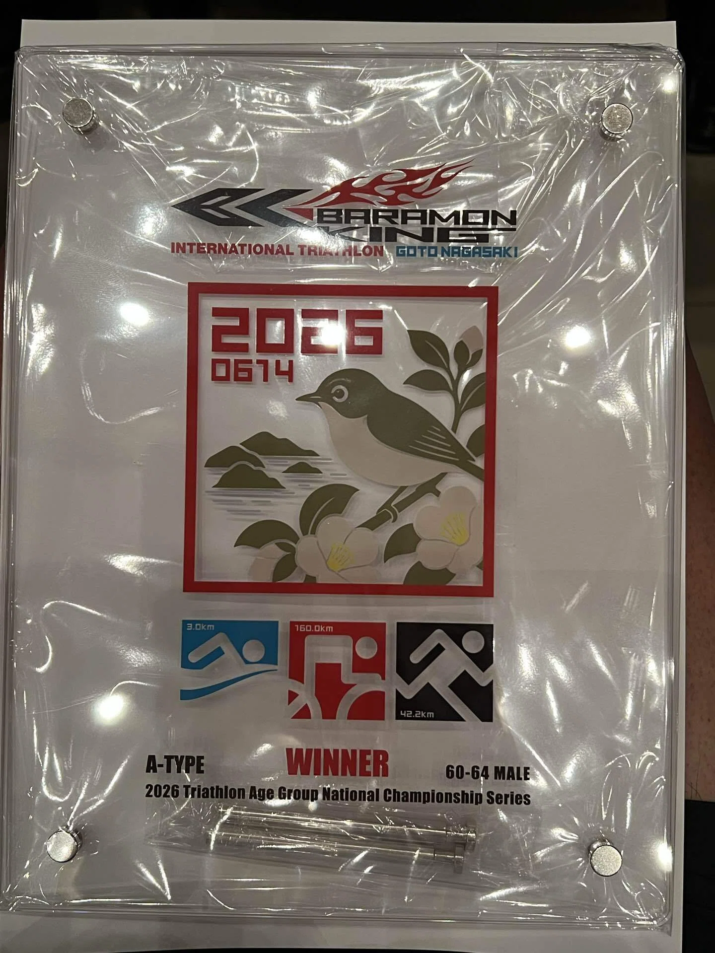 ロコン　ハスボー　エビワラー　ストライク　DPt　ギンガの覇道 表彰・打ち上げ・総括編】2026五島トライアスロンその⑥【バラモン