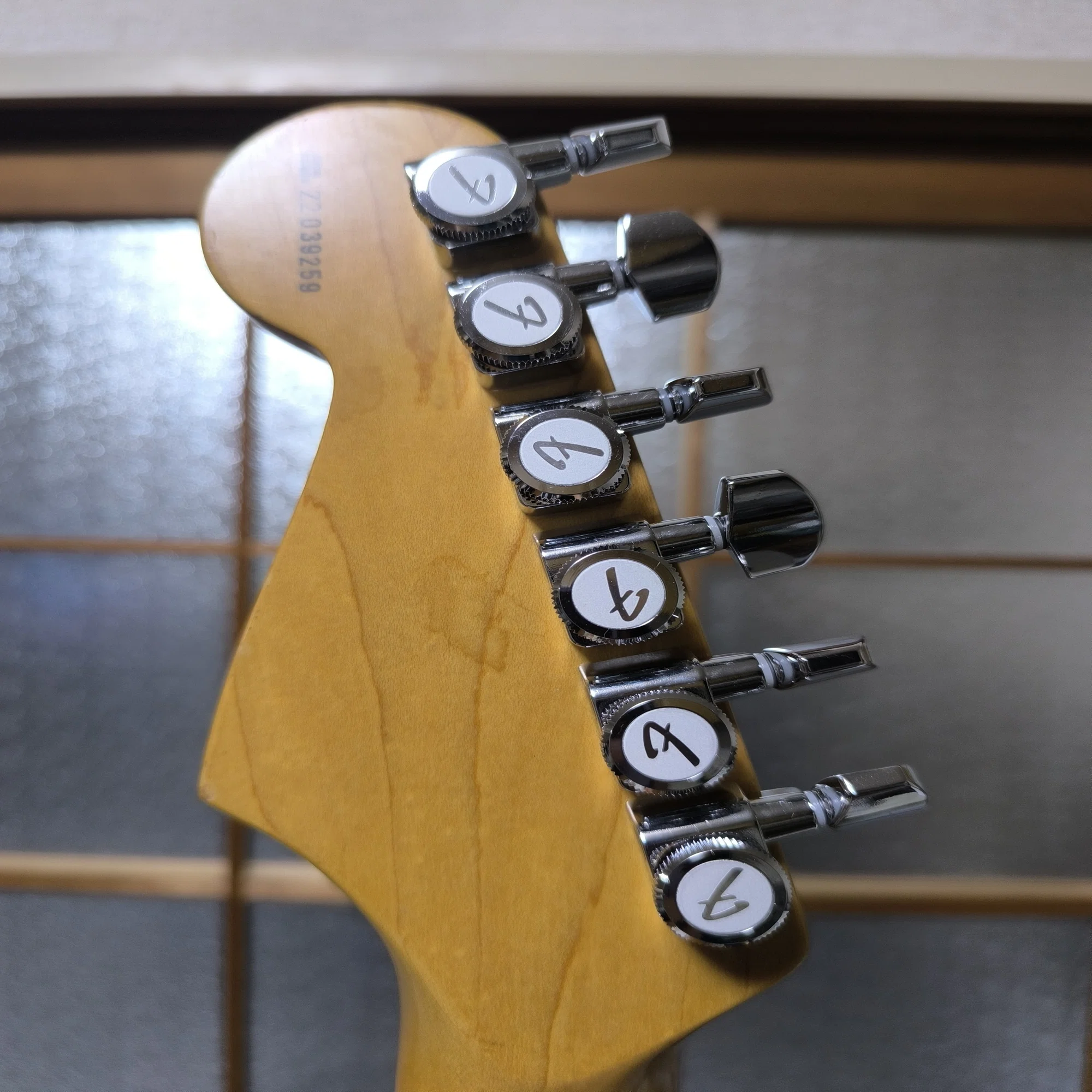Fender American Stratocaster(2002)｜ボーンアンドスキンA