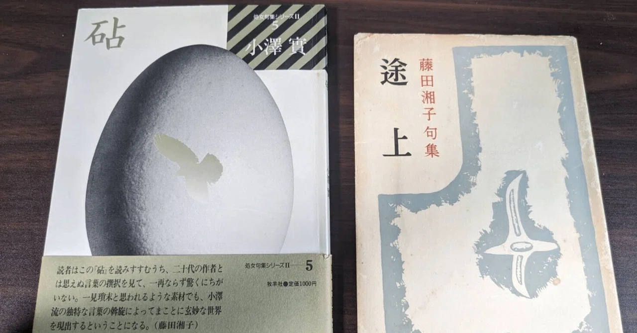 令和に小澤實第一句集『砧』を読む｜阿部八富利