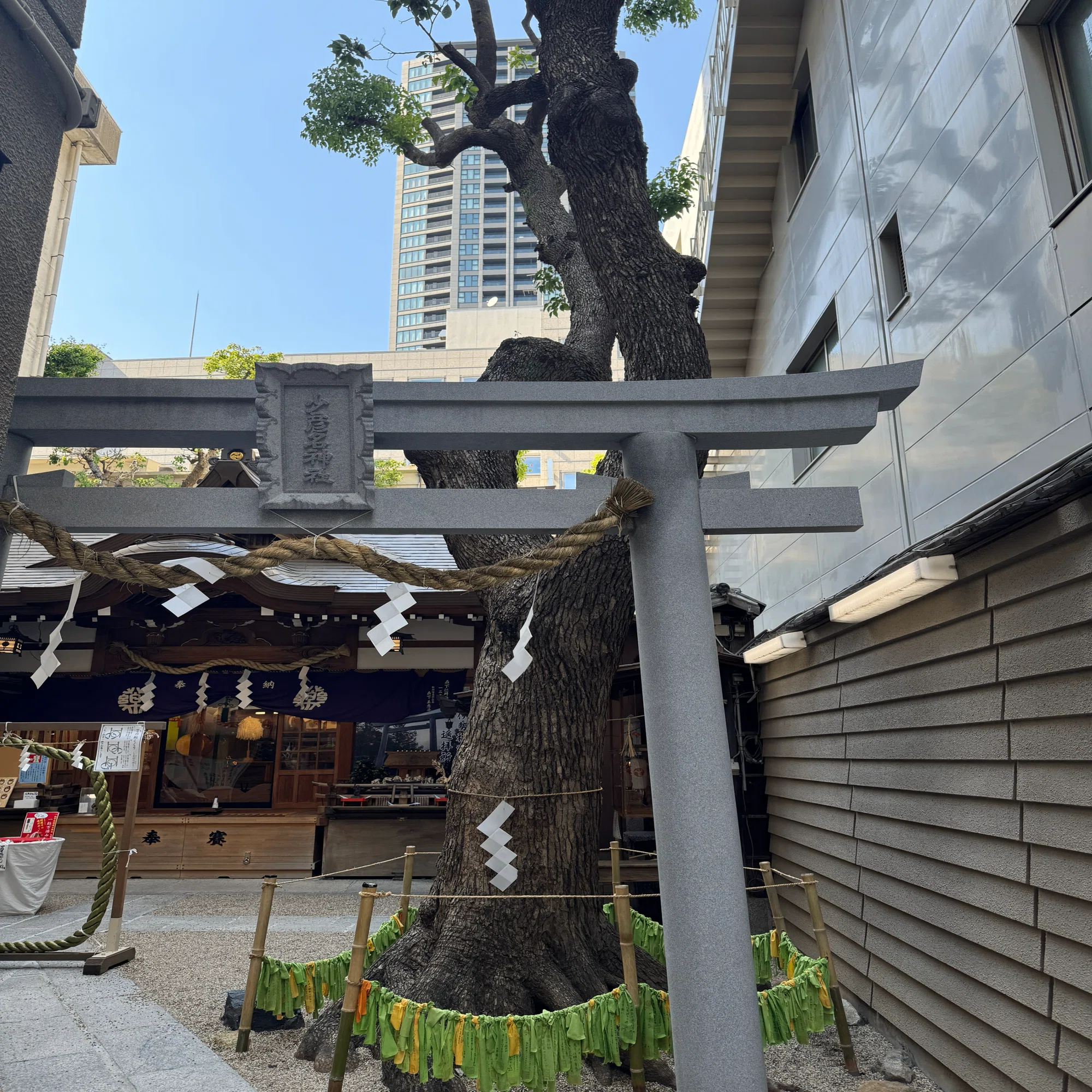 神社仏閣】少彦名神社（すくなひこなじんじゃ）：大阪府大阪市中央区