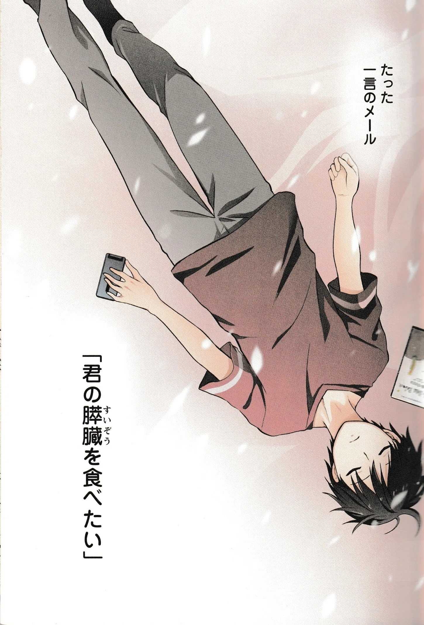 6月21日］作家：住野よる先生の『君の膵臓をたべたい』と『星の王子