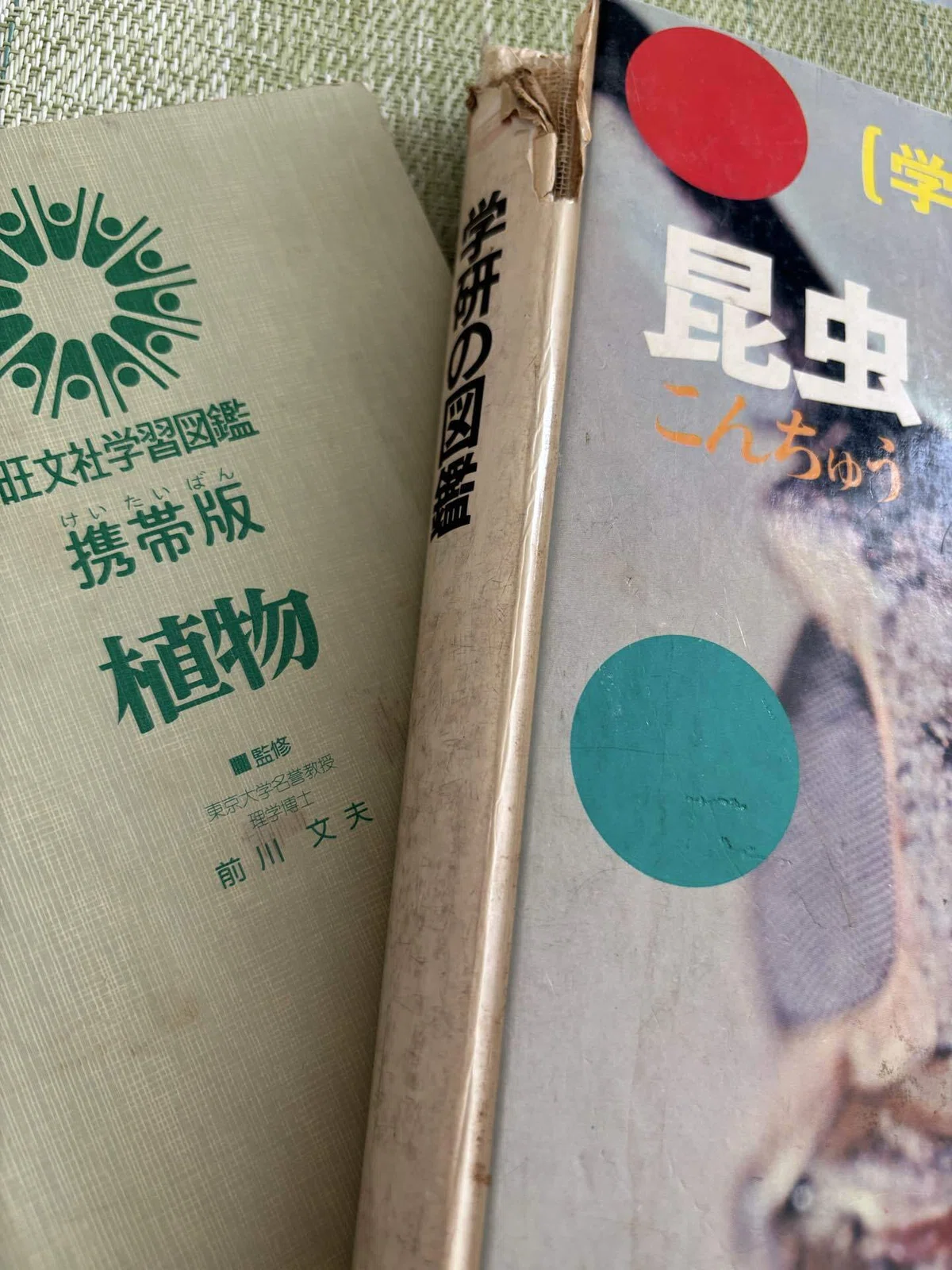画像