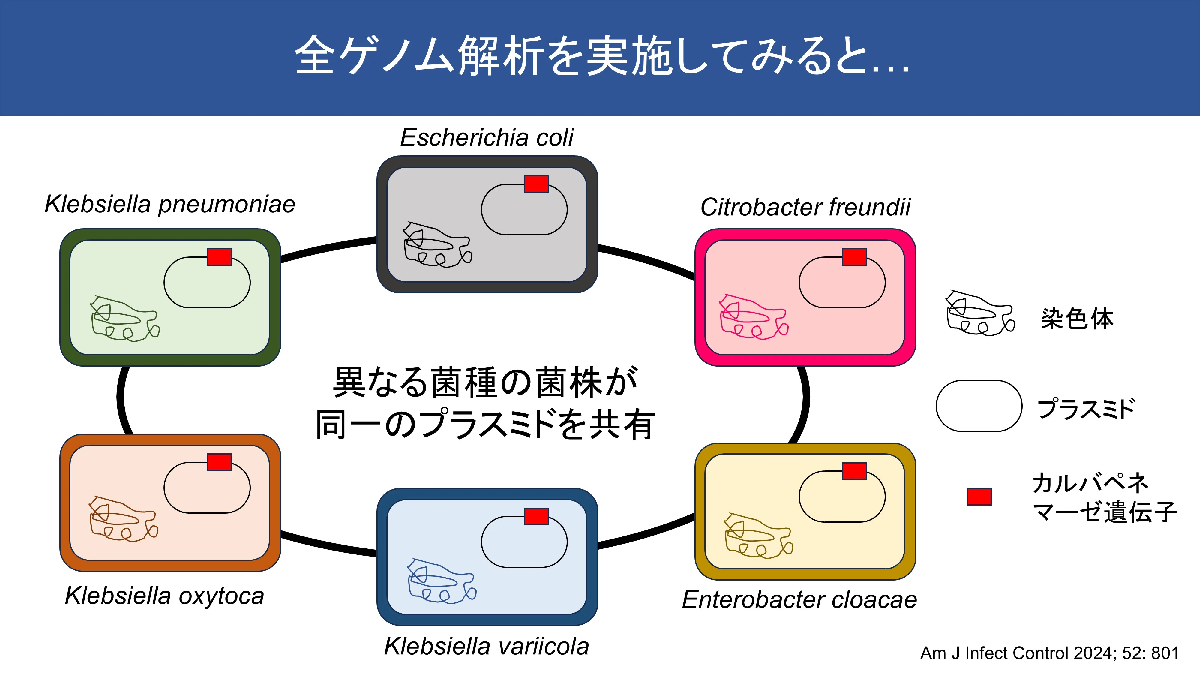 ホーム | 東邦大学 医学部 微生物・感染症学講座