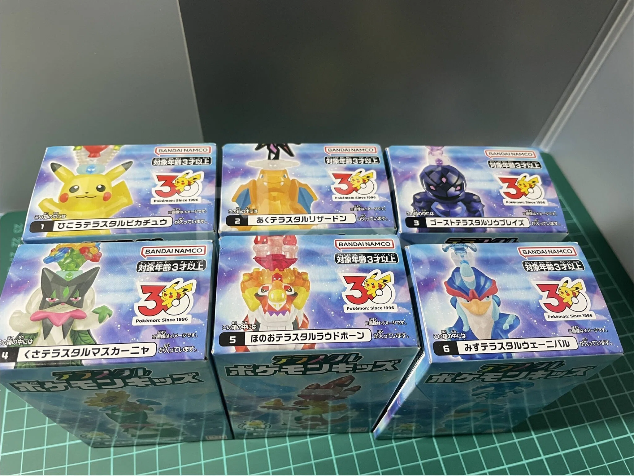 テラスタルポケモンキッズ」お迎えしました｜タコスの感想文