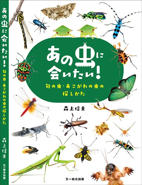 お目当ての「あの虫」に出会う楽しさは格別｜ブンイチ（文一総合出版）