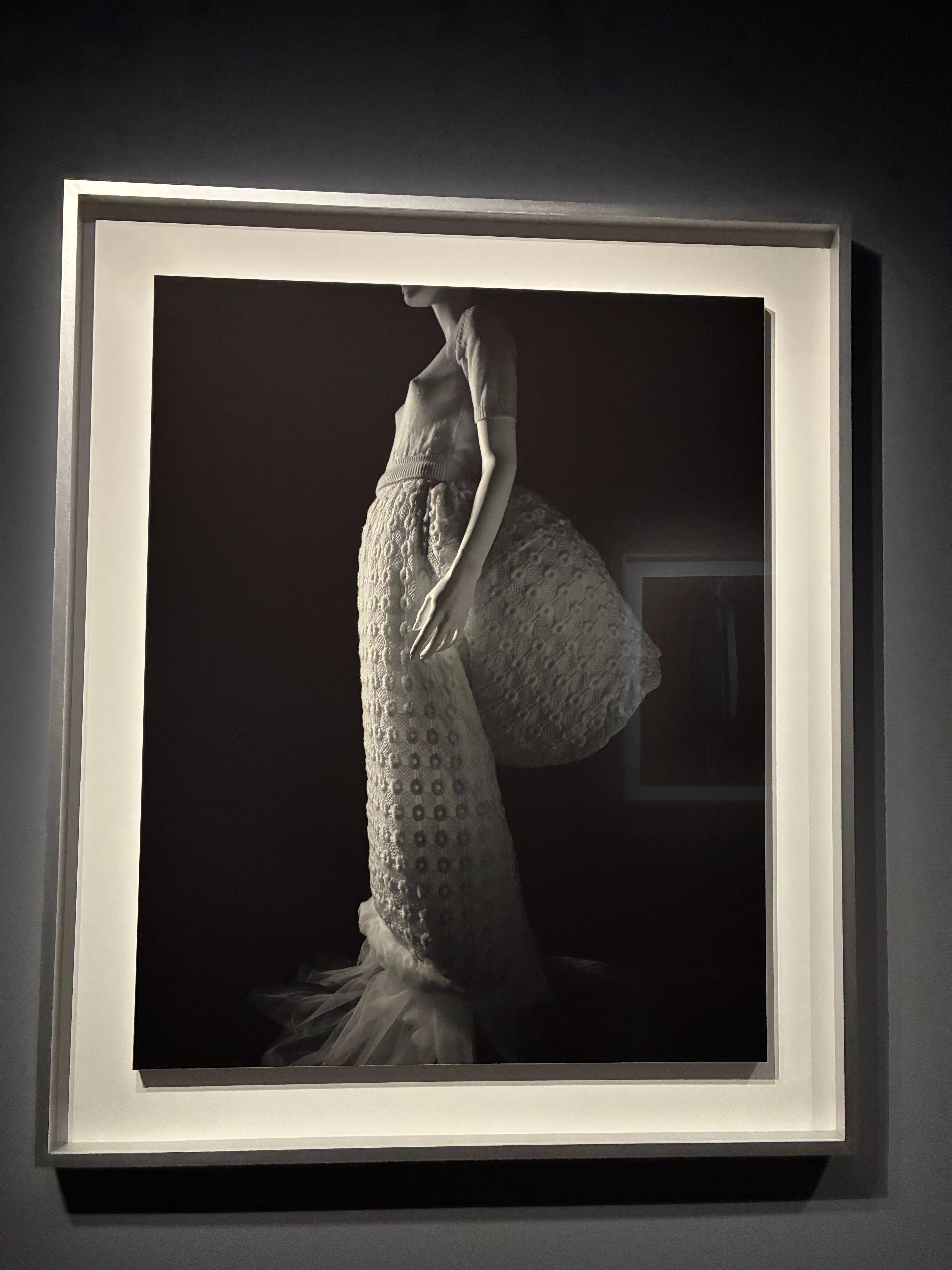 杉本博司 絶滅写真」展 時間を超越する杉本の写真｜katie