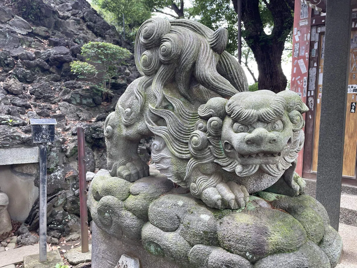 画像