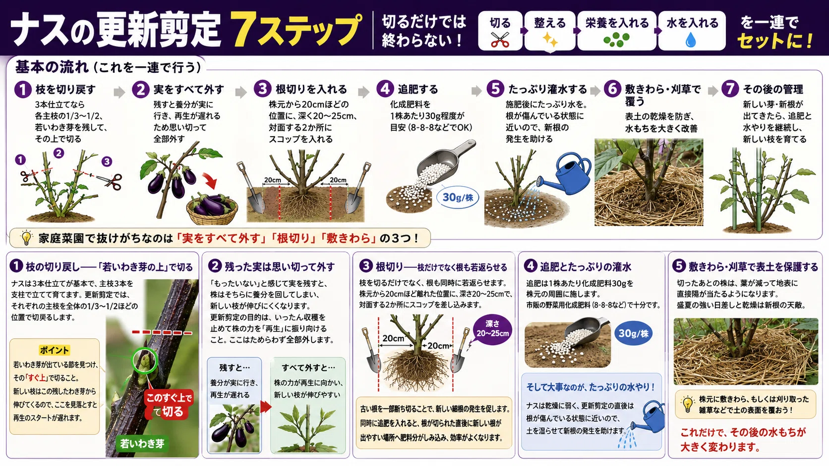 ナス の 更新 剪定