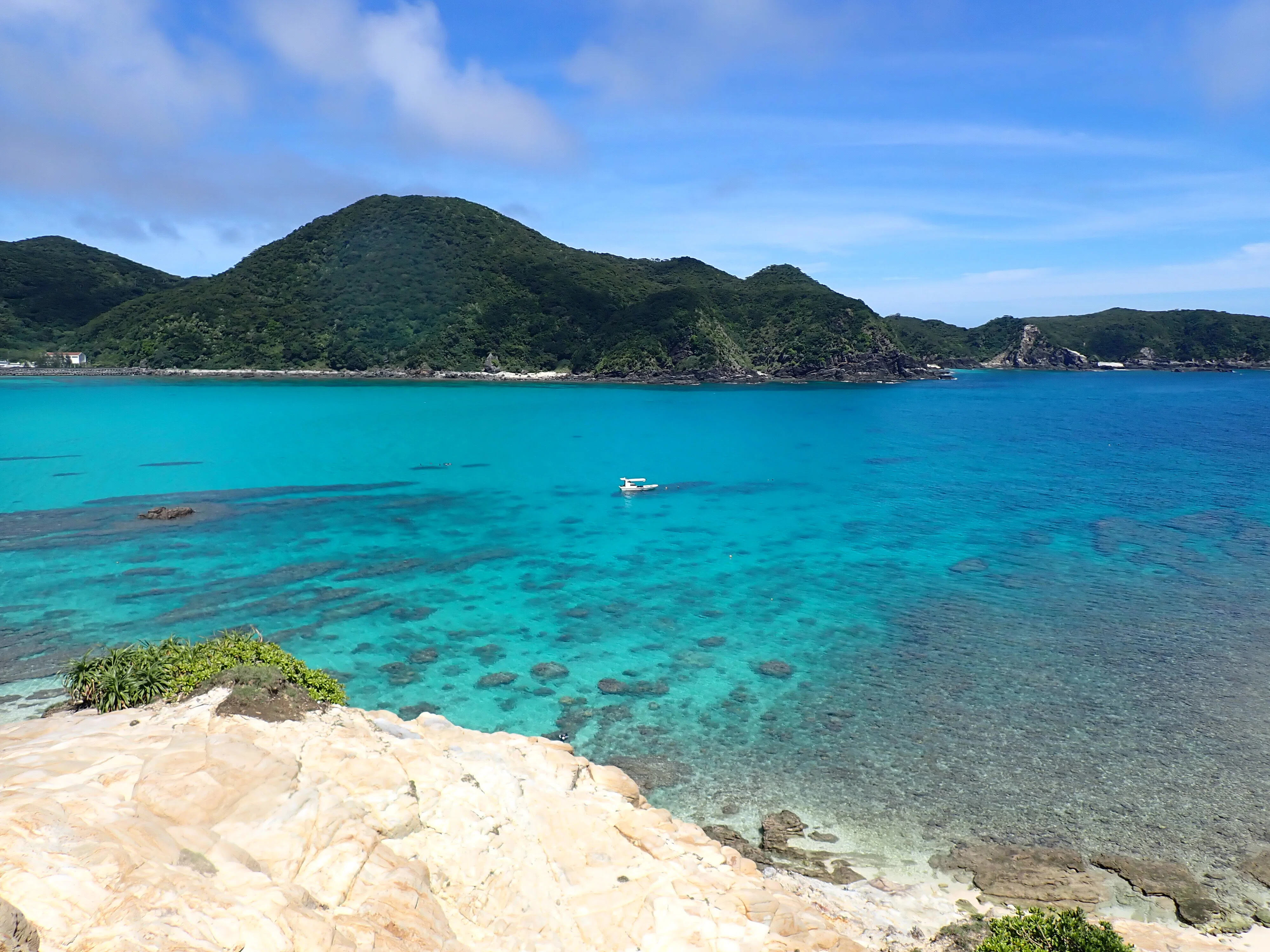 彼岸の旅人 ダンテ 北米25th 遊戯王 彼岸の旅人ダンテ 25th