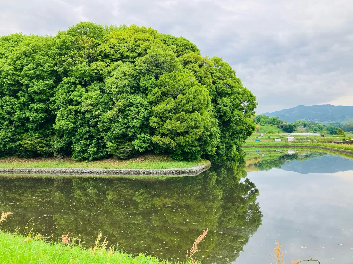 画像