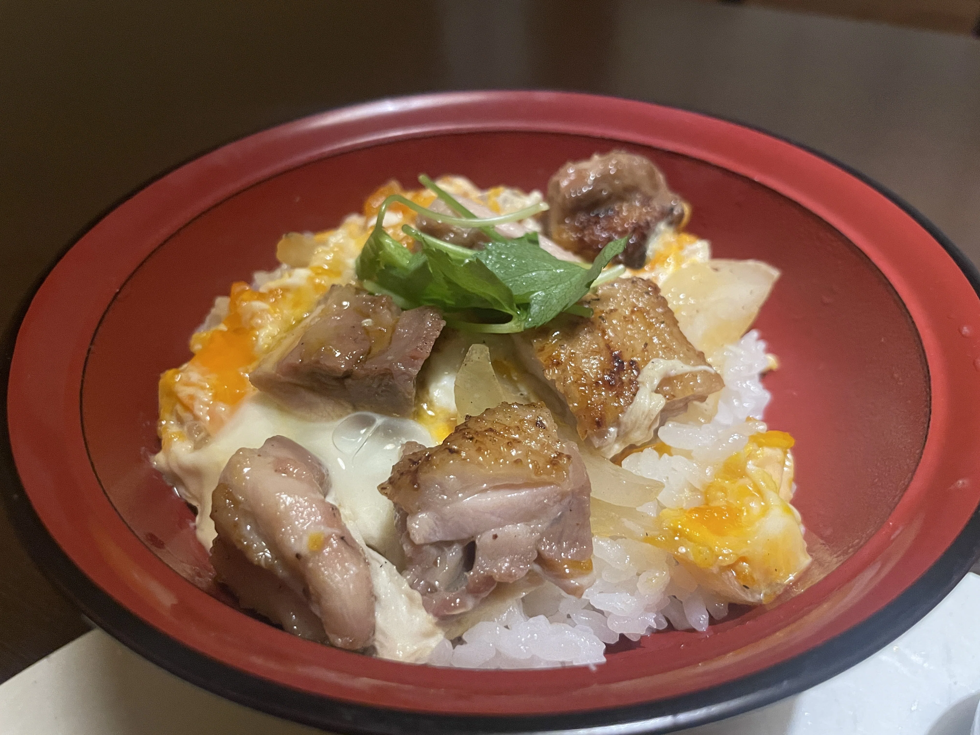 出張孤独メシ】名古屋金山で食べた親子丼と八丁味噌の手羽先が最高に