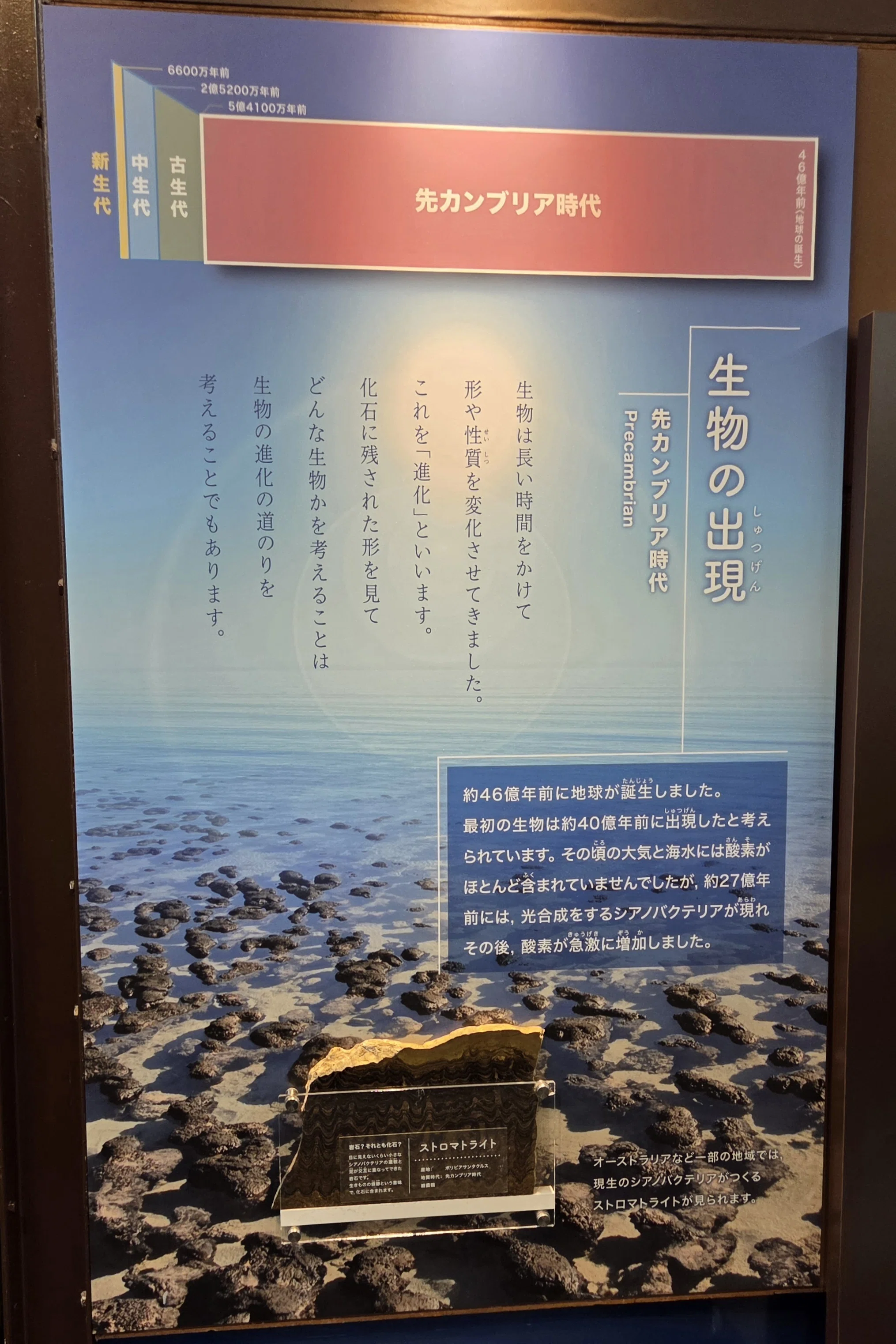 全国自然博物館の旅【81】京都市青少年科学センター｜美原さつき