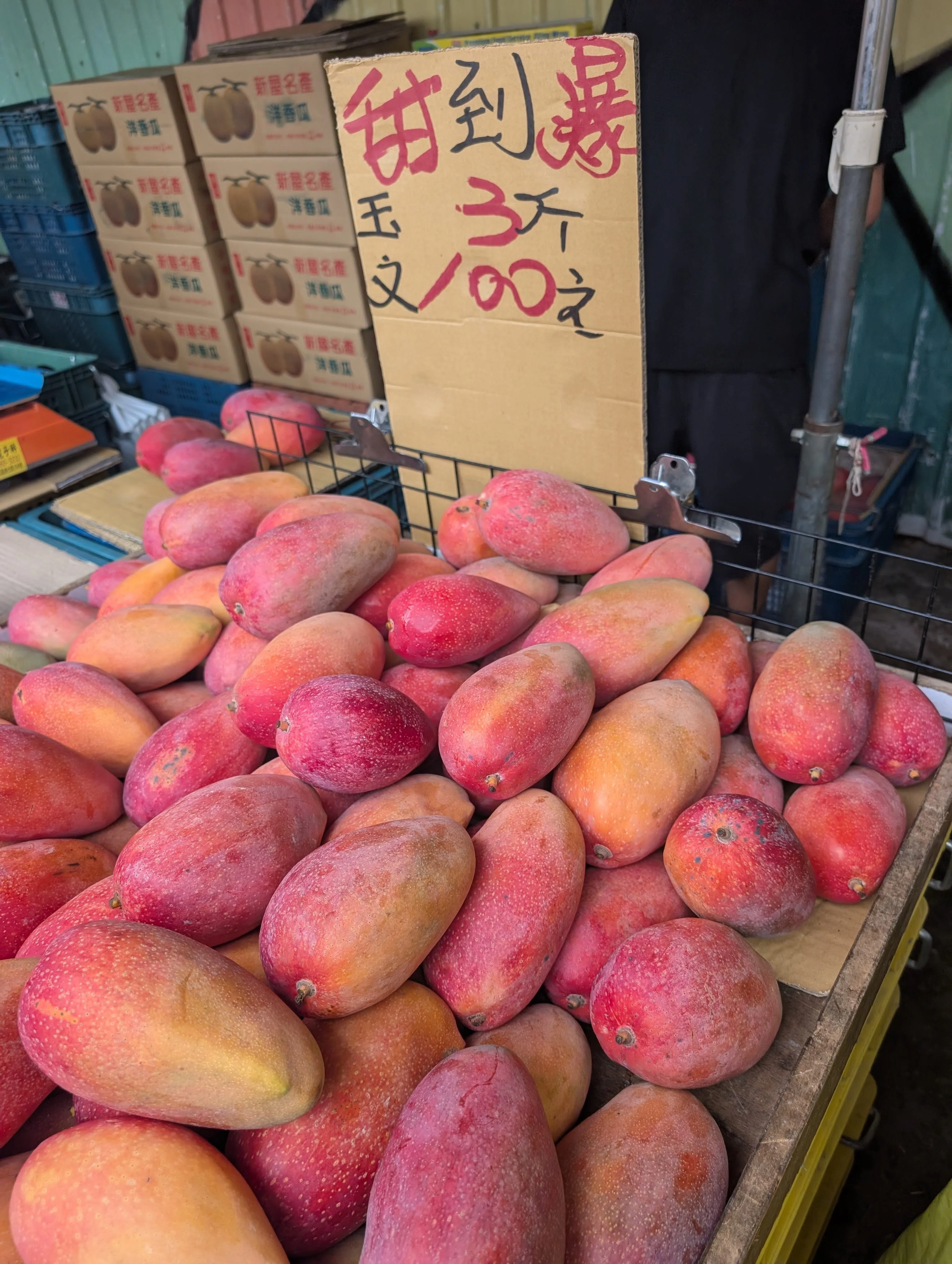 令和8年 民国115年 西暦2026年 6月台湾旅行 2｜ちゃんぽん