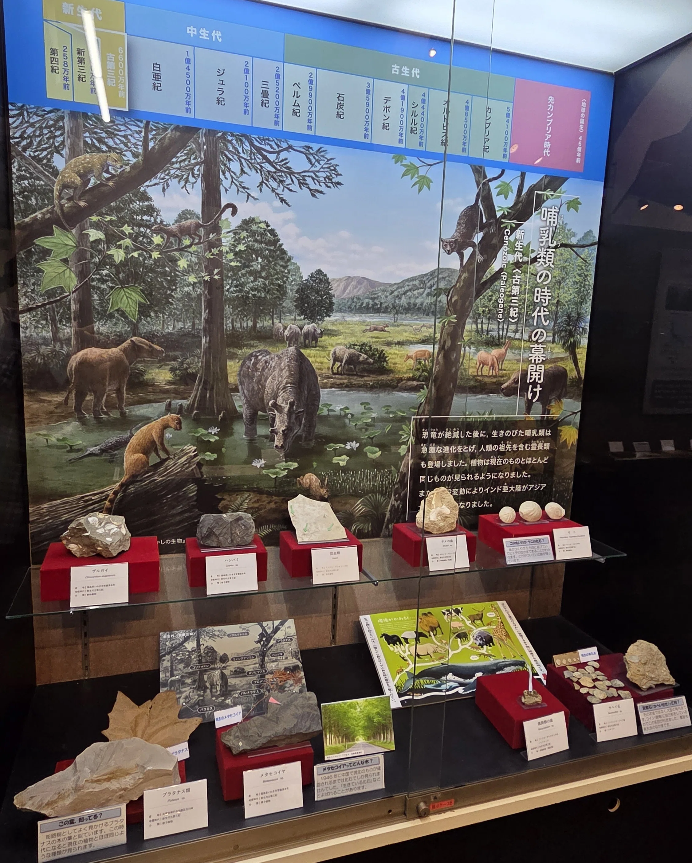 全国自然博物館の旅【81】京都市青少年科学センター｜美原さつき