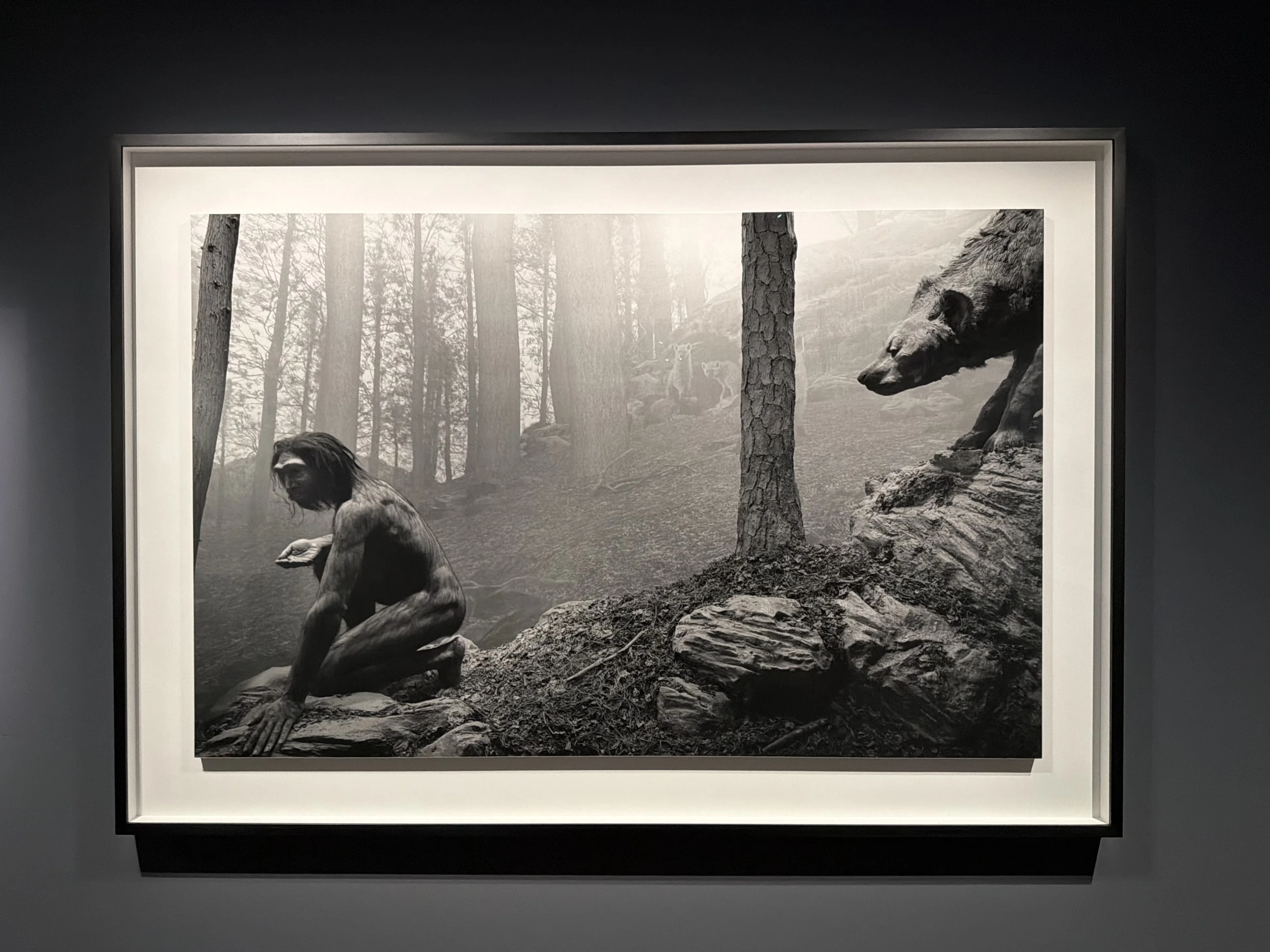 2026年「杉本博司 絶滅写真」 ｜ 銀塩写真の生前葬⁉︎ ｜ 東京国立近代