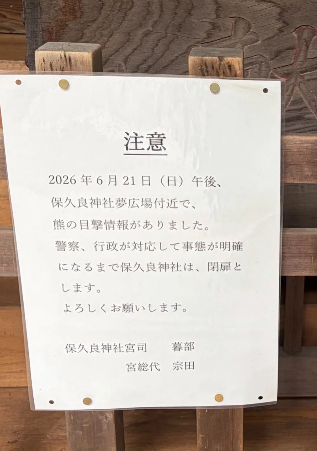 Beware of Bears？｜Sae a.k.a. bekobe150