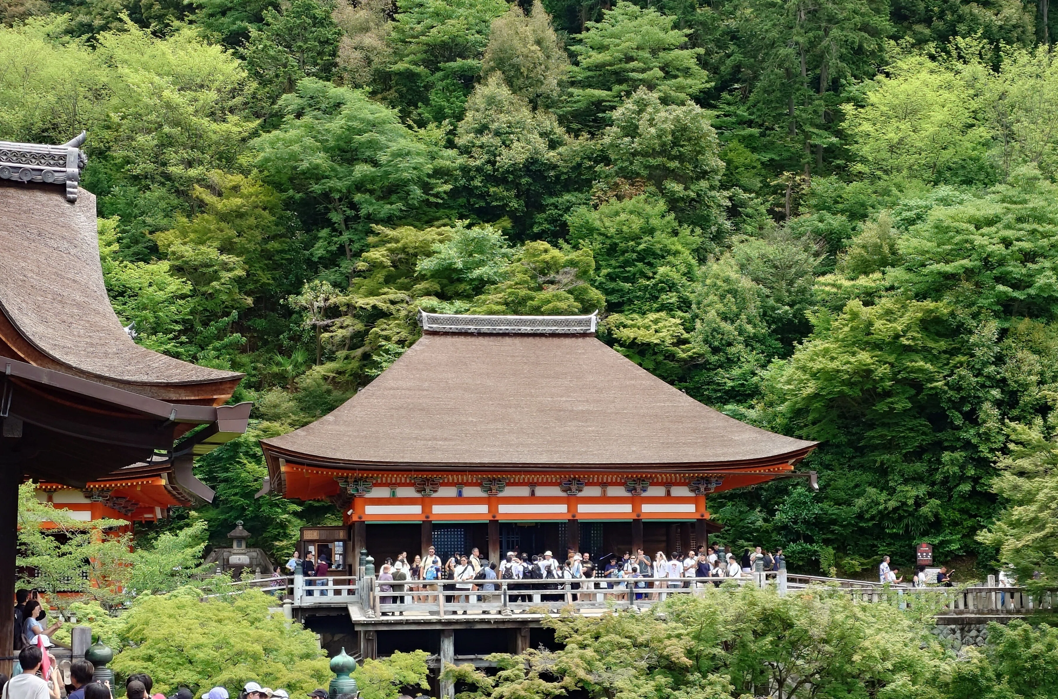 京都 清水寺】眺望美しき清水の舞台【2026/6/18】｜アルとネジ