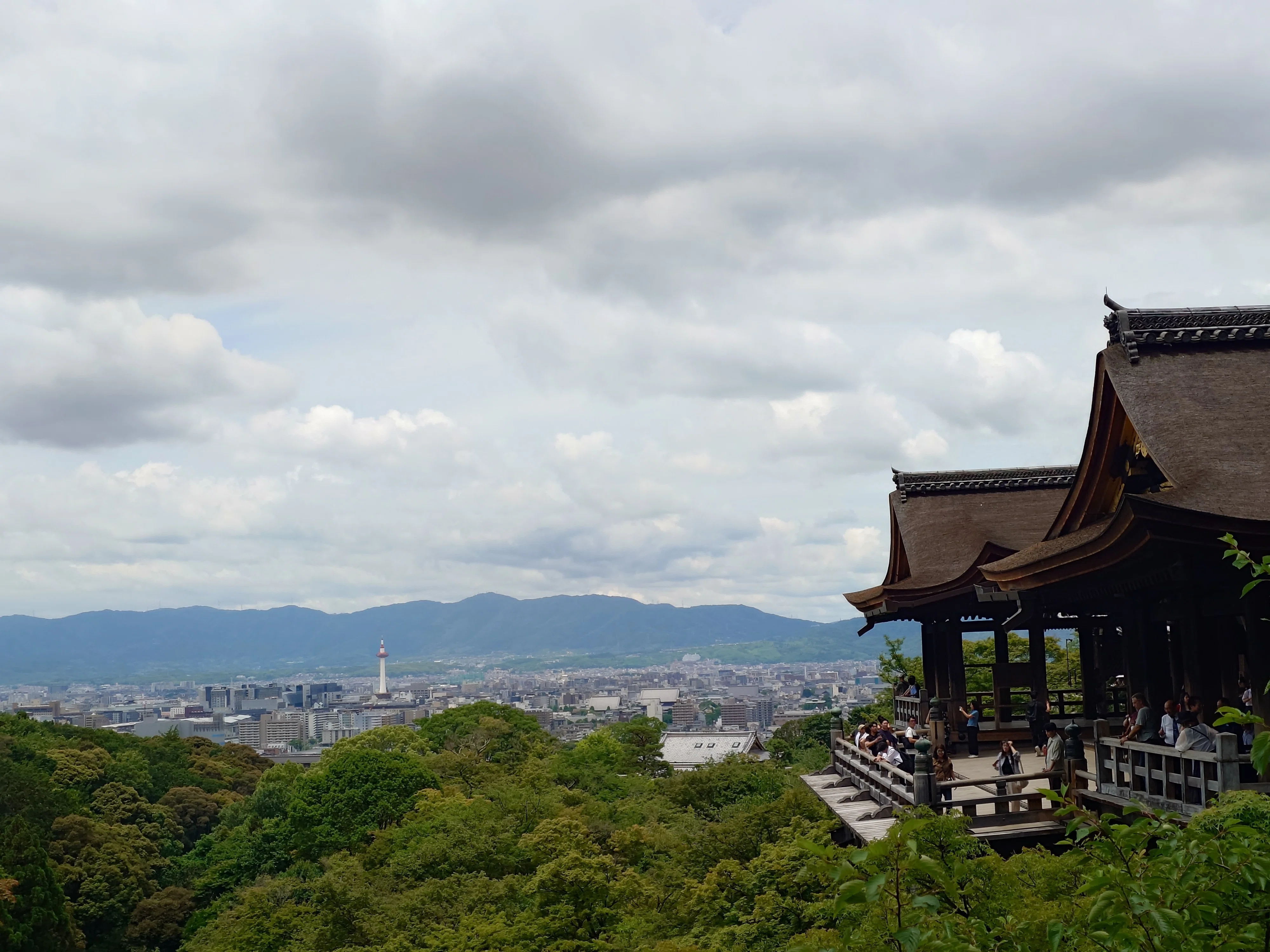 京都 清水寺】眺望美しき清水の舞台【2026/6/18】｜アルとネジ