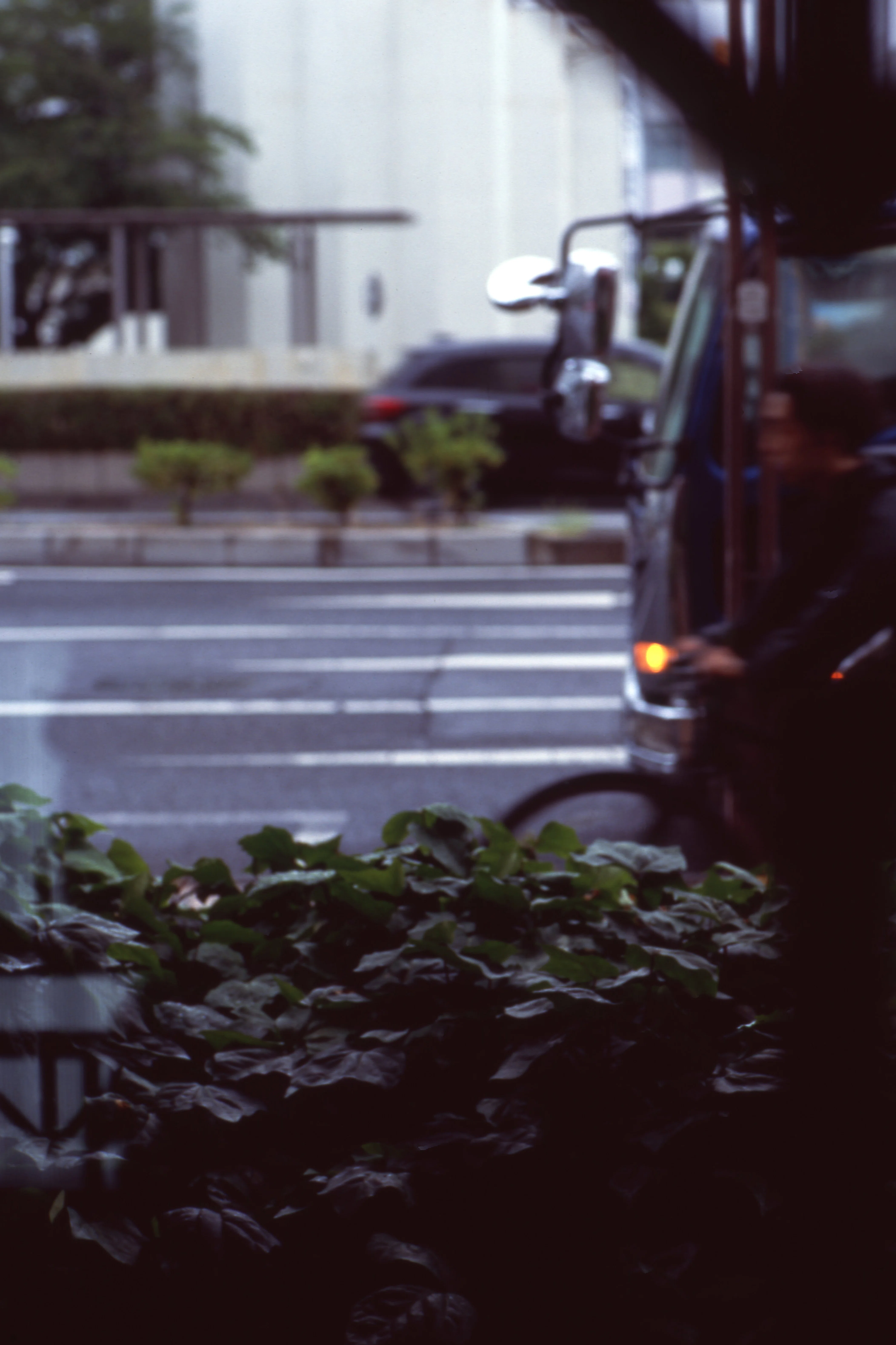 日の無い処に、ポジフィルム。｜Miyake