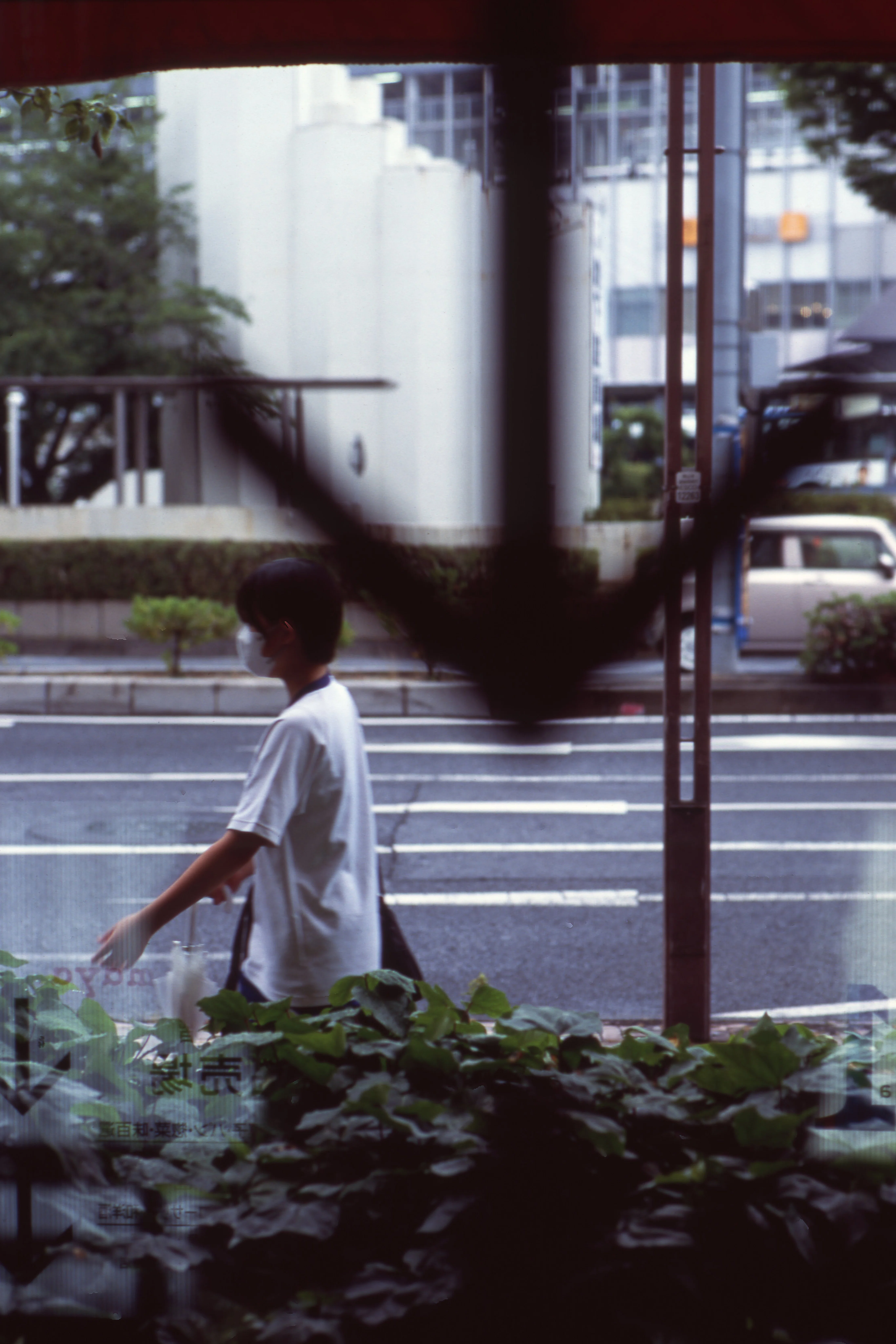 日の無い処に、ポジフィルム。｜Miyake