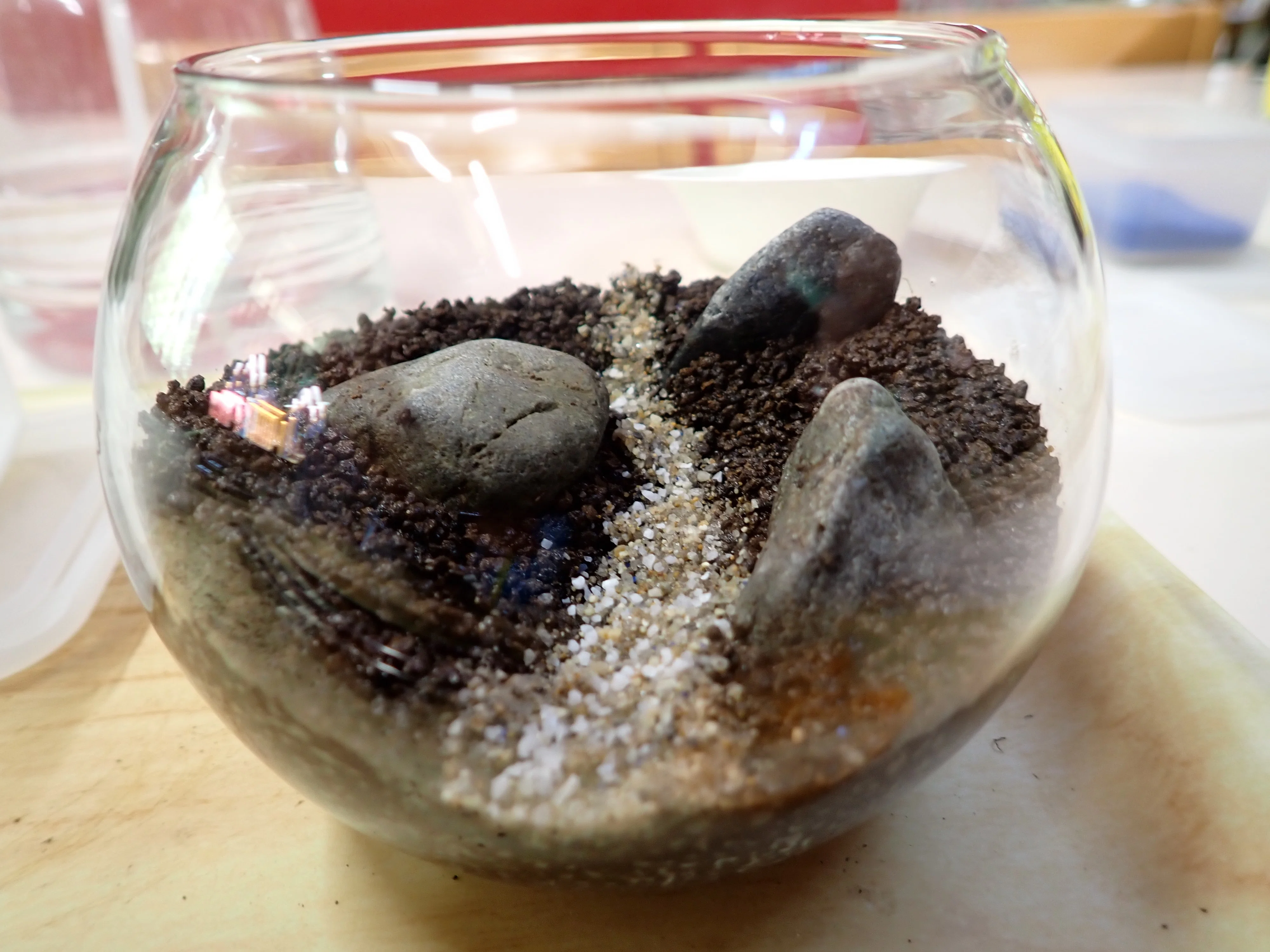 屋久島の森をスプーンですくって瓶に詰めたい | 苔テラリウム製作体験