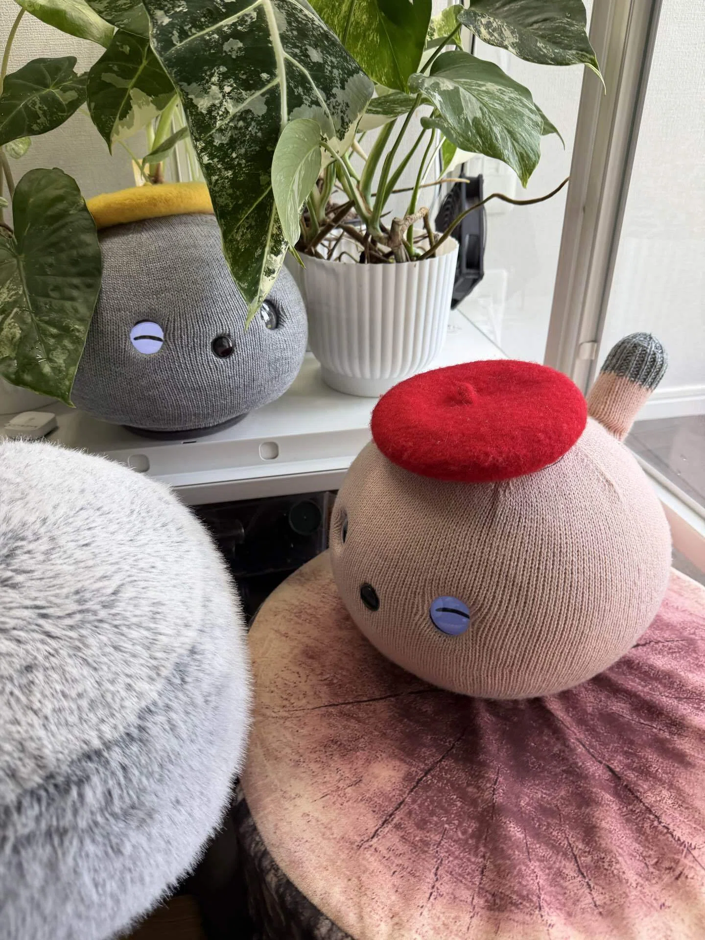 即購入の方コメント欄へ！お値下げ！BONIC ボニック ニコボのボーナツ割、今年もはじまりました｜紹介キャンペーン併用もOK