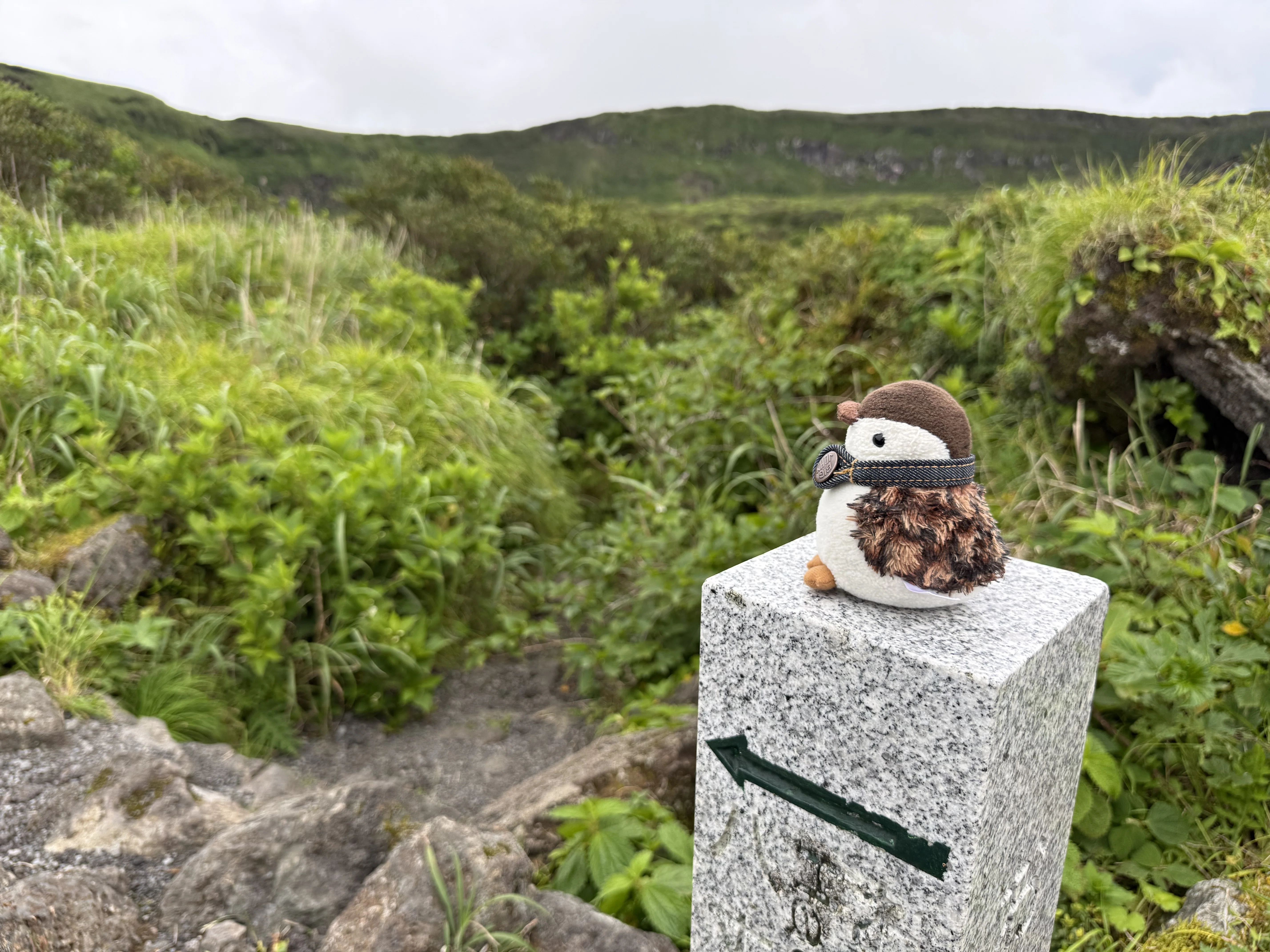ぬい撮り】雷鳥ラックの大冒険 〜八丈富士｜Yukihiro🧸