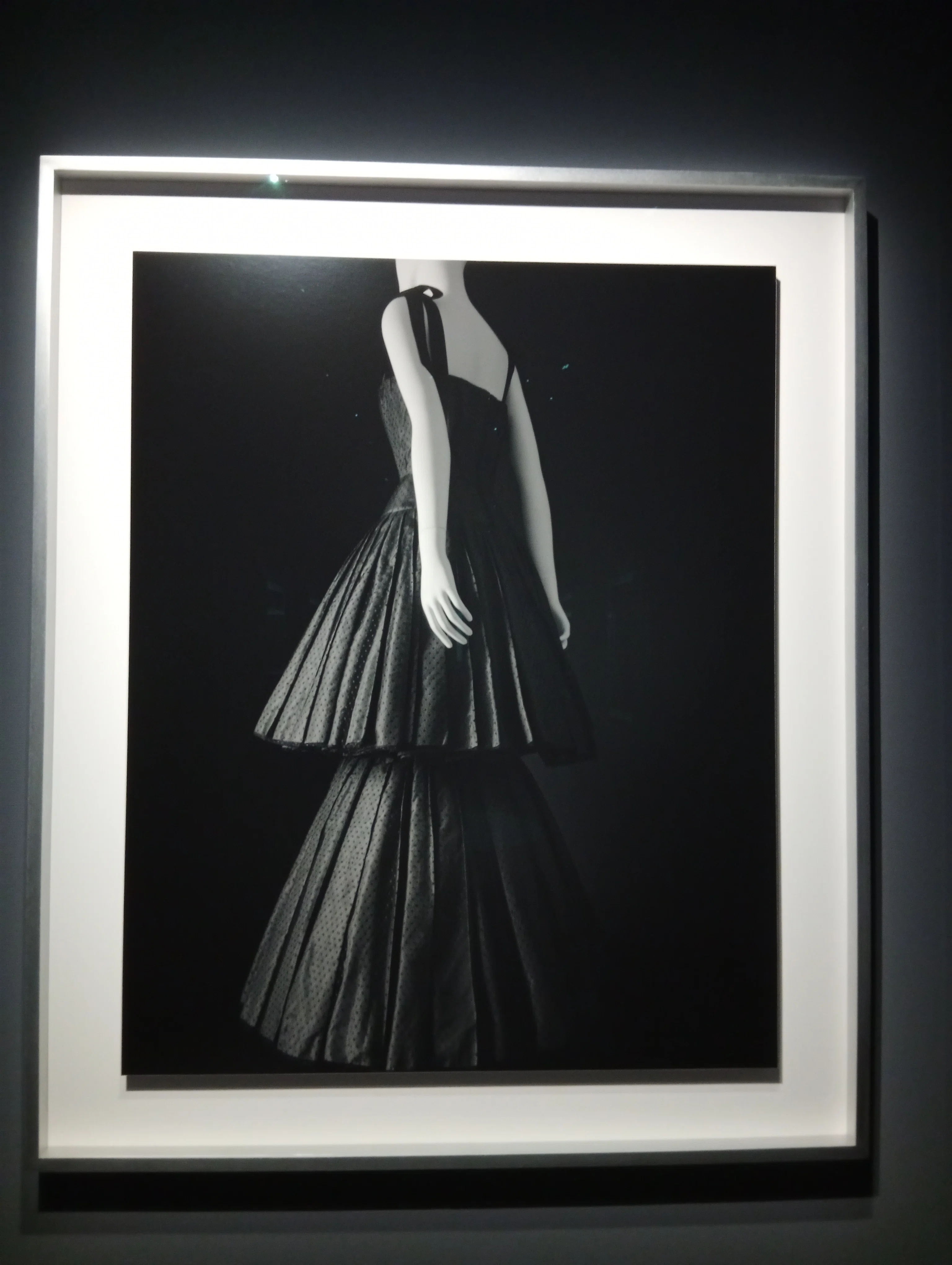 杉本博司 絶滅写真」（東京国立近代美術館）｜かろ