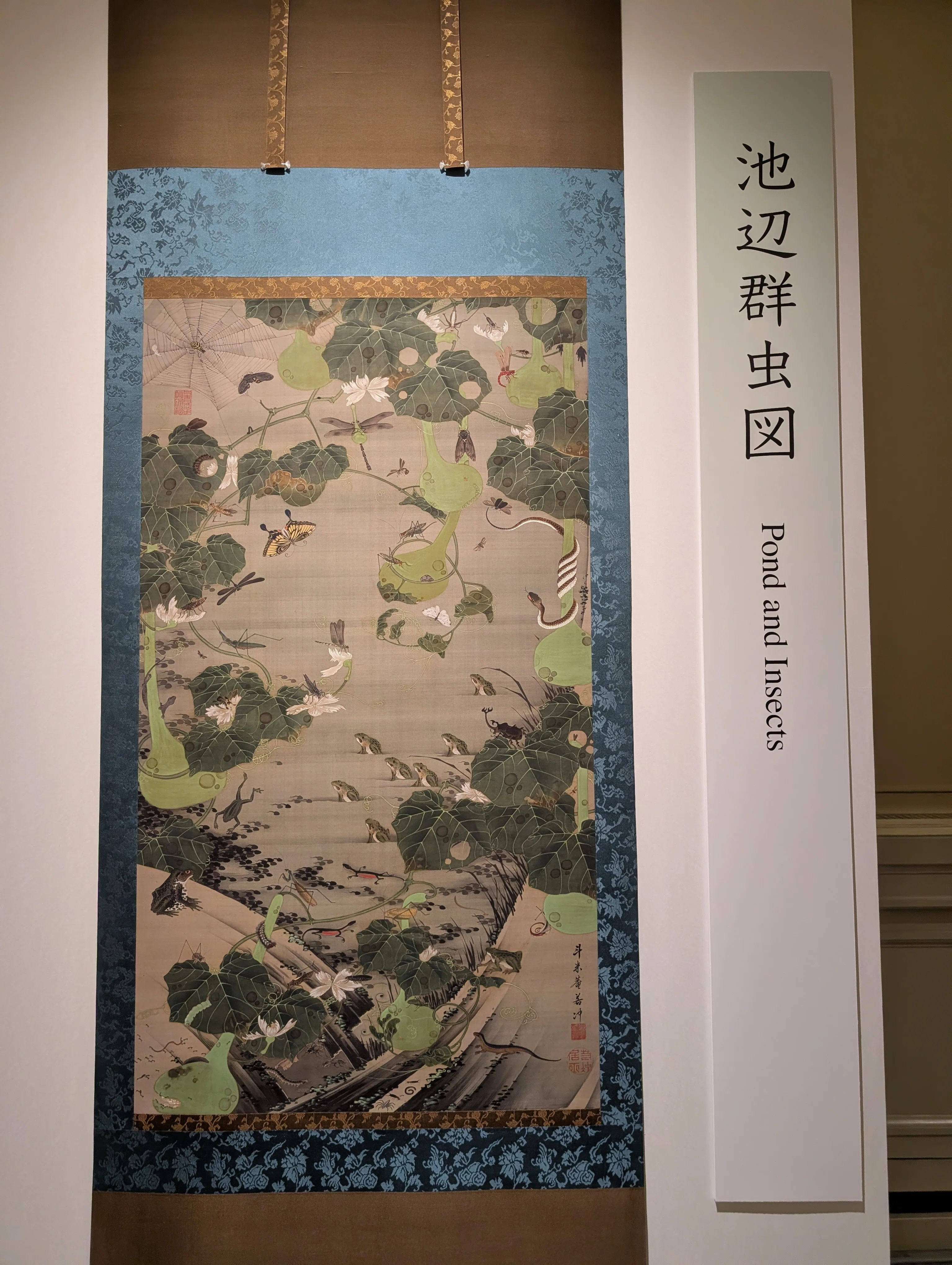 デジタル複製で見る『動植綵絵』｜大野智から始まった「若冲」の旅