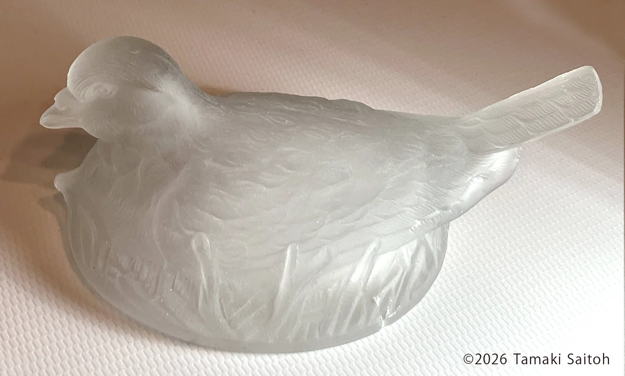 ガラスの鳩とかなんとか｜TAMA
