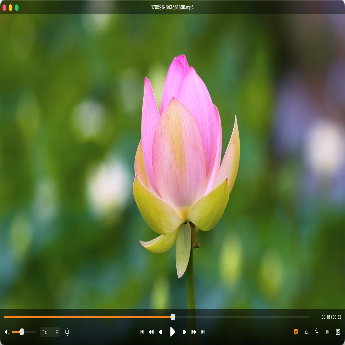 いい色で動画を見たいだけ
