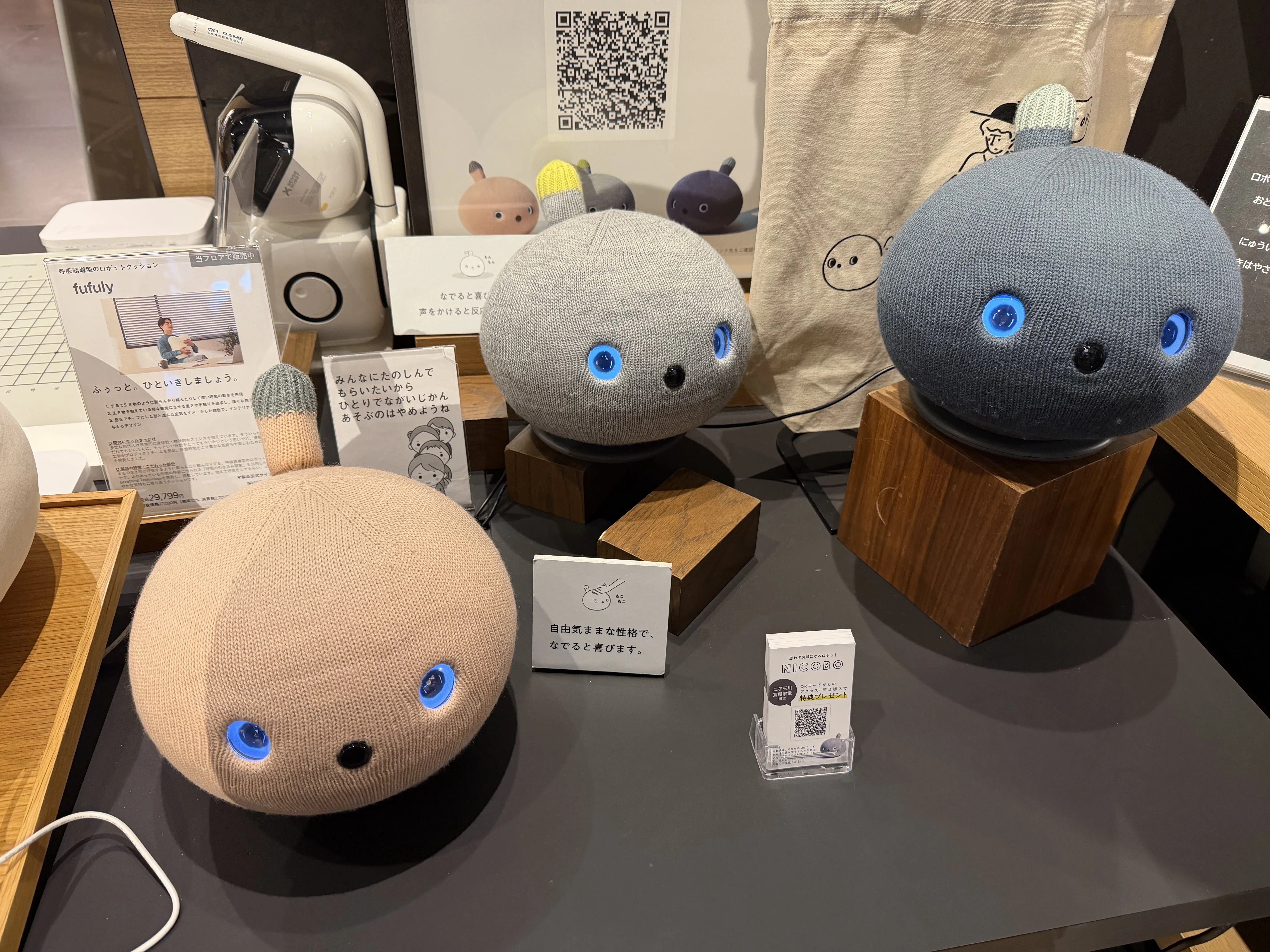 ロボットと暮らす｜YUKI