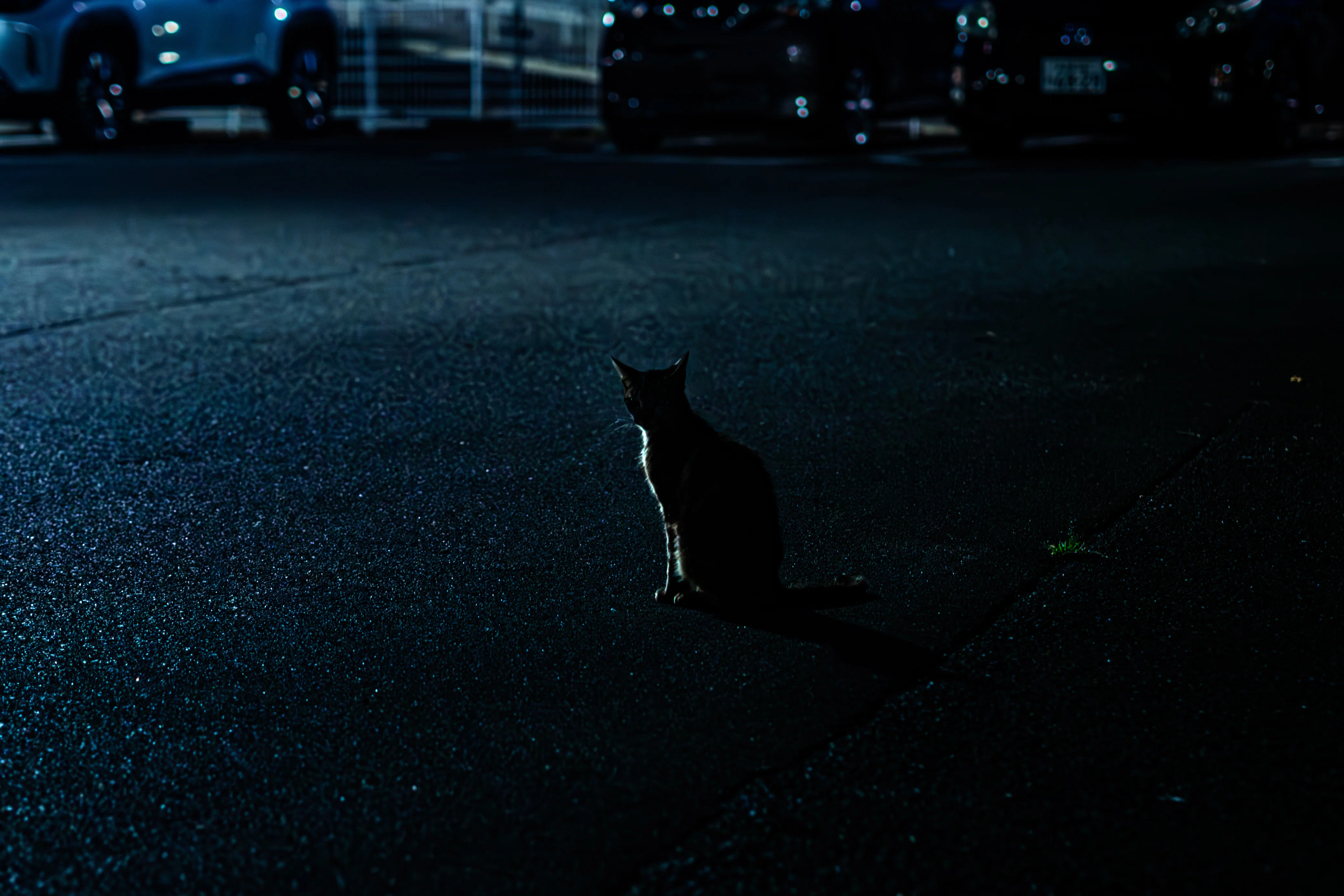 光と影 光と影」と言いますが、それって｜隻 つかさ