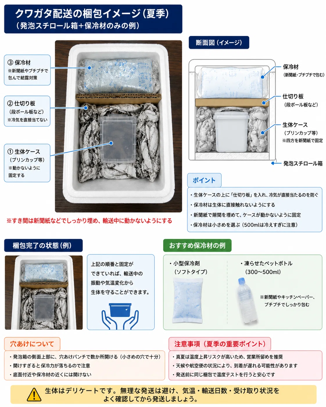 夏の北海道発着】クワガタ発送の梱包を考える｜H.Tanaka