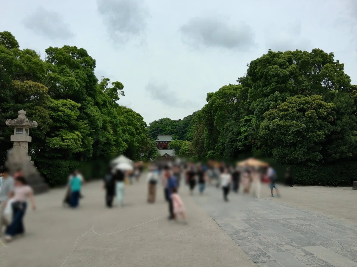 画像
