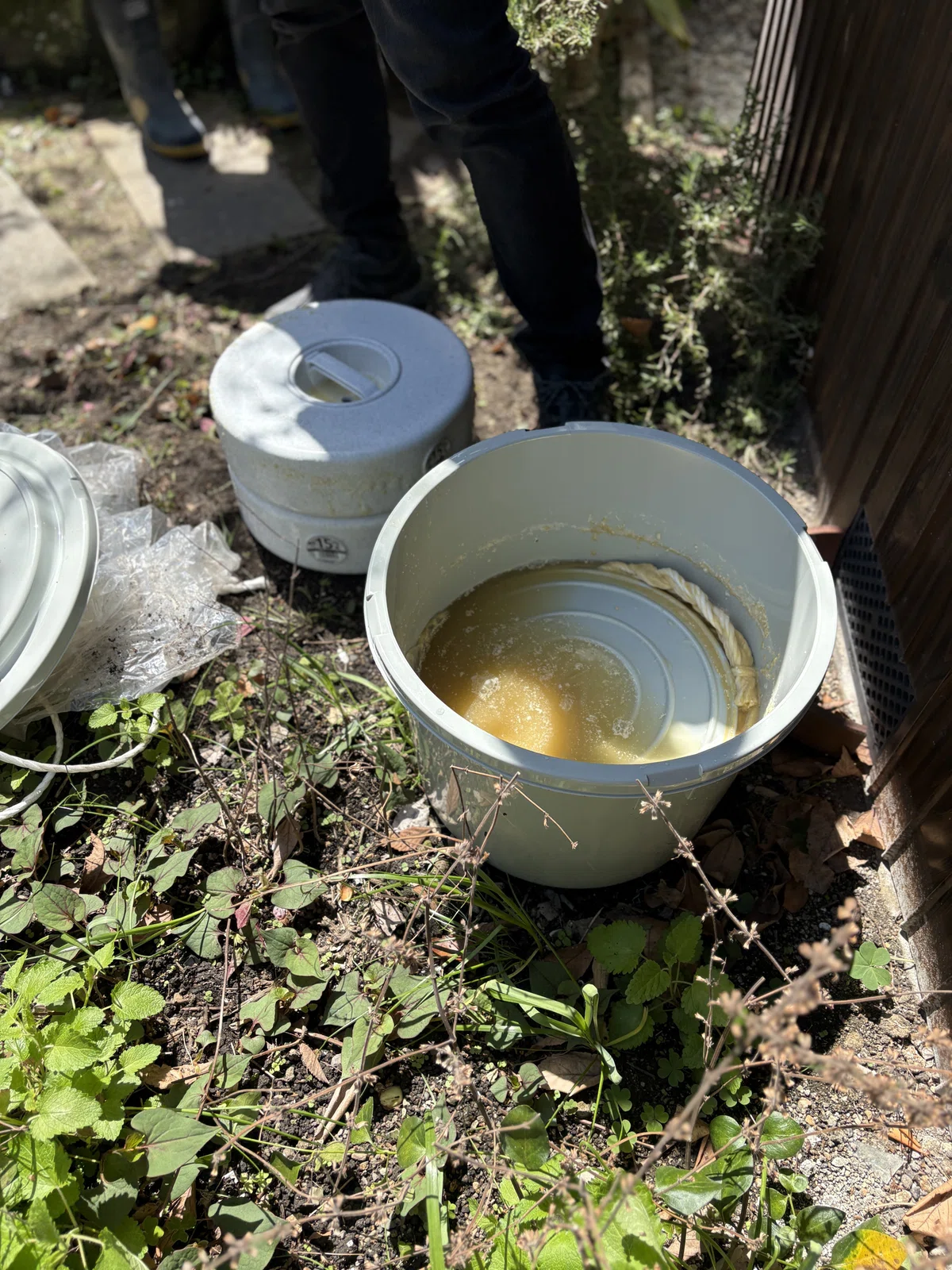【淡路島から食を考える】鮒寿し開封の義。郷土料理でつながる滋賀との縁|シマトワークス