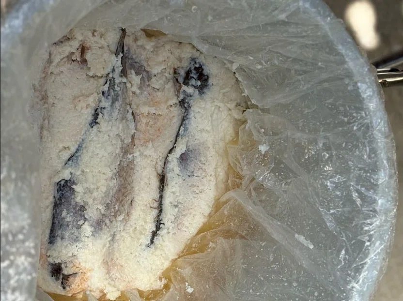 【淡路島から食を考える】鮒寿し開封の義。郷土料理でつながる滋賀との縁|シマトワークス