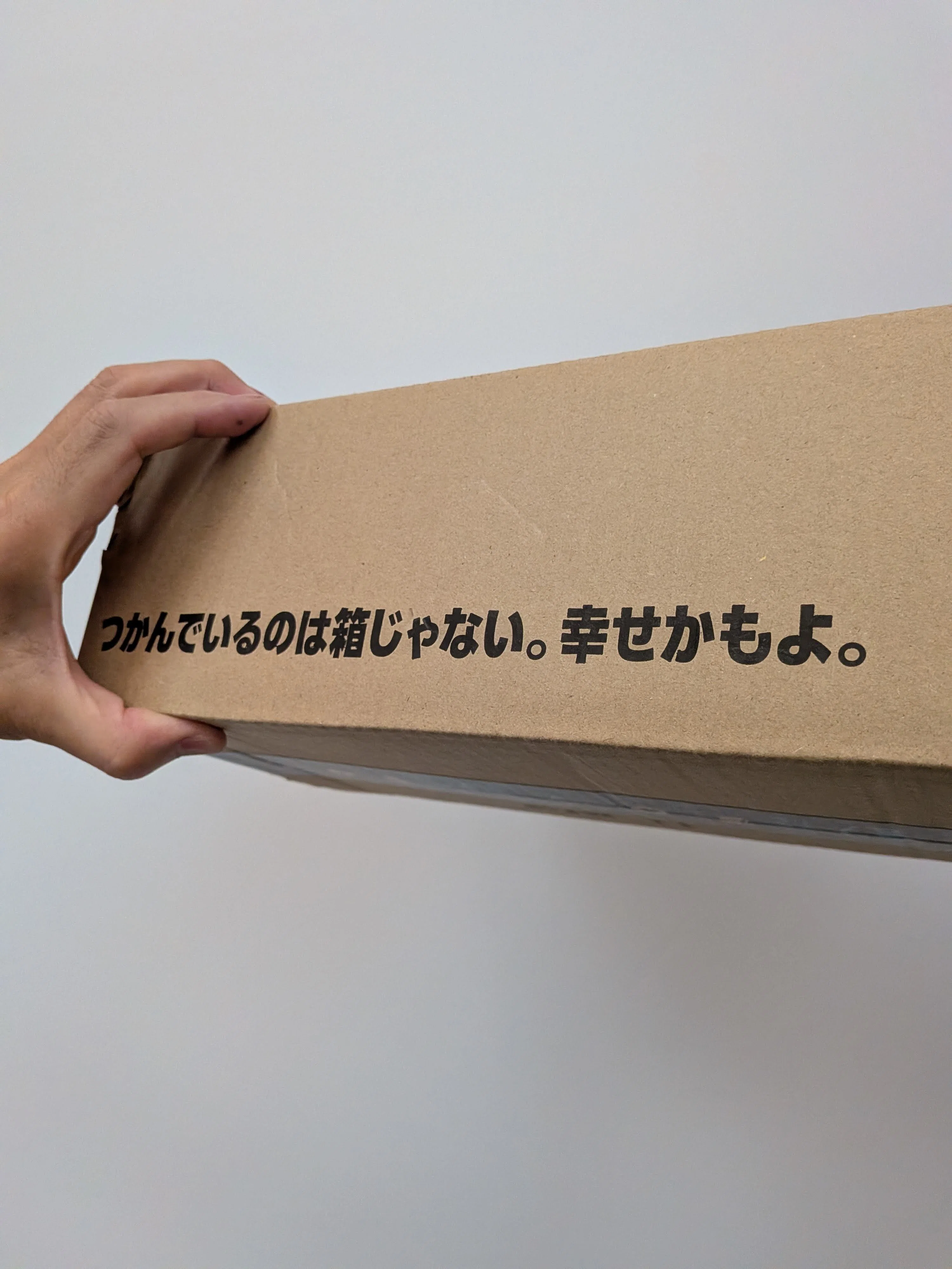 現品だけになります。箱は無しです。 つかんでいるのは箱じゃない。幸せかもよ。AMAZON BOX やるなぁ