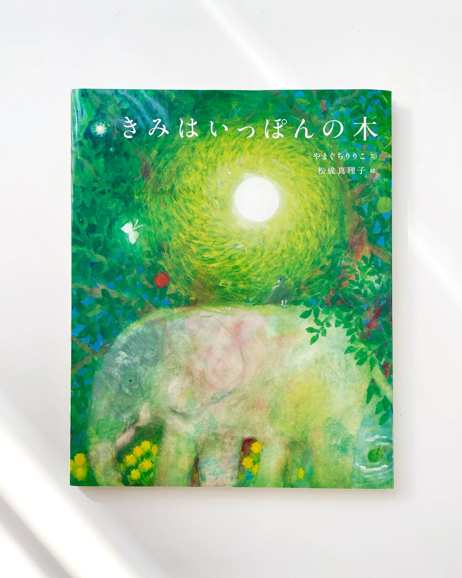 絵本『きみはいっぽんの木』原画展での出会い｜童心社