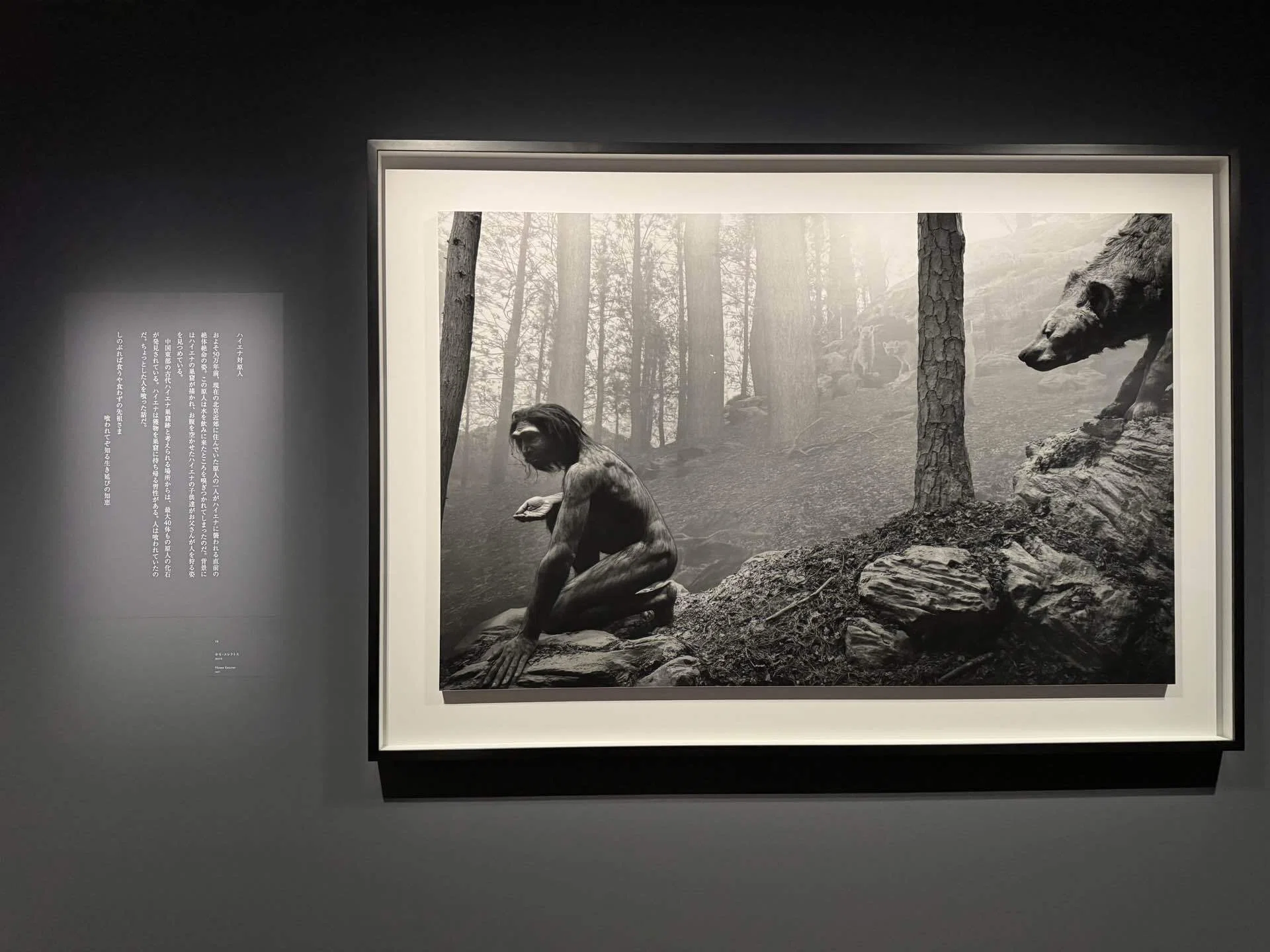 アート巡り記】杉本博司 絶滅写真＠東京国立近代美術館 2026.6.16訪問