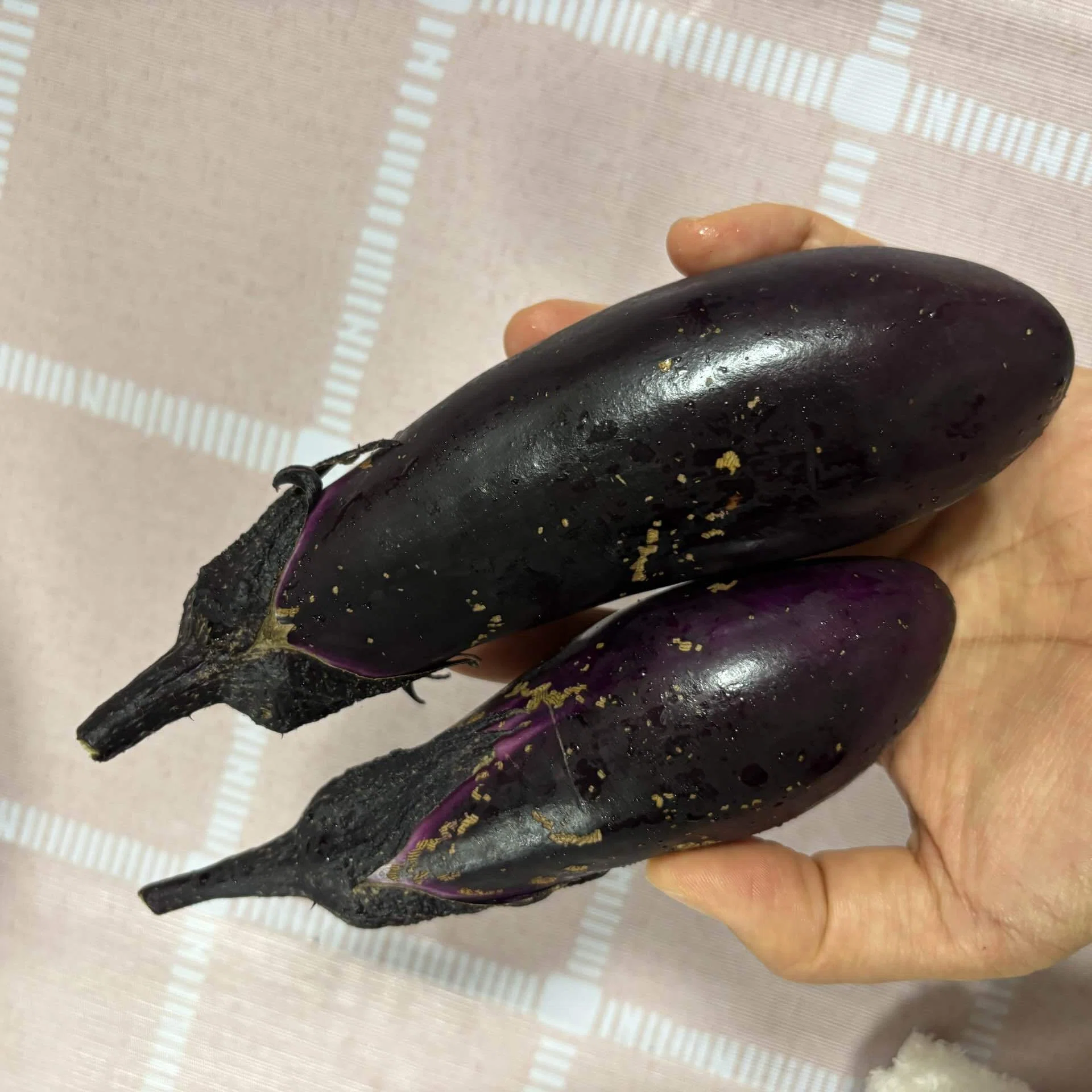 ナス〜すくすく食べ頃に〜｜ズボラ家族の園芸日記＊himawari＊