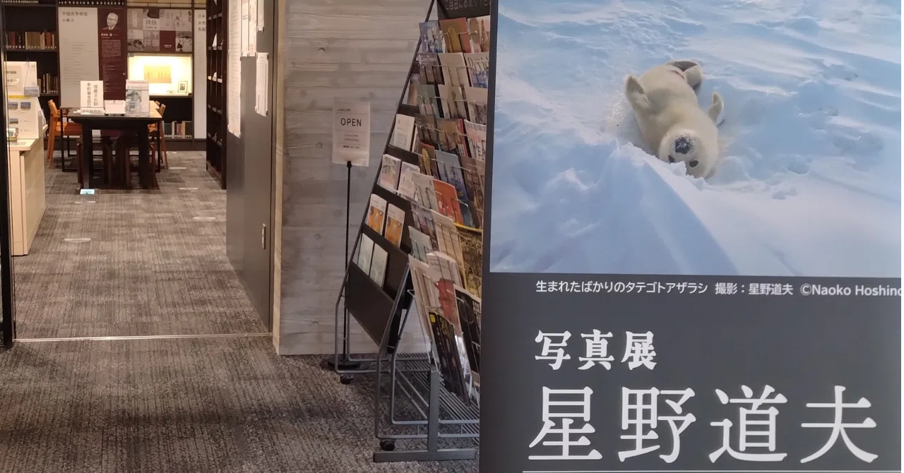 星野道夫さんの写真と言葉が、私をアラスカへ連れていった。｜福岡で 