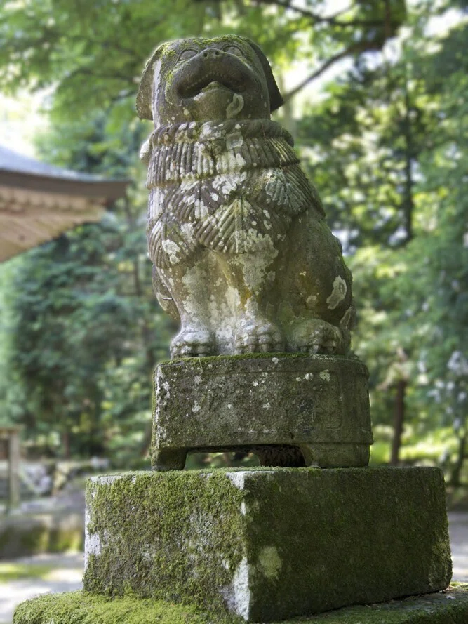 山口県平生町 百済部神社の狛犬｜藤井克浩