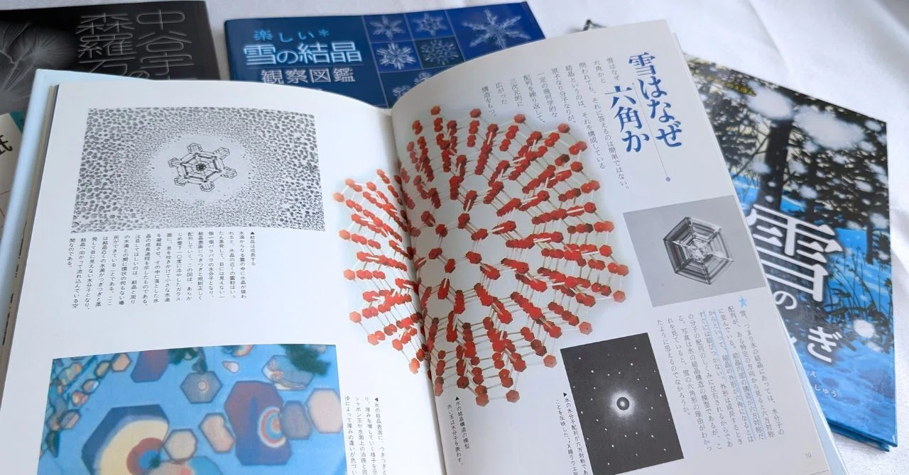 究極品質 超希少幻の逸品 偉大な雪の5 つの宝庫 カンチェンジュンガ